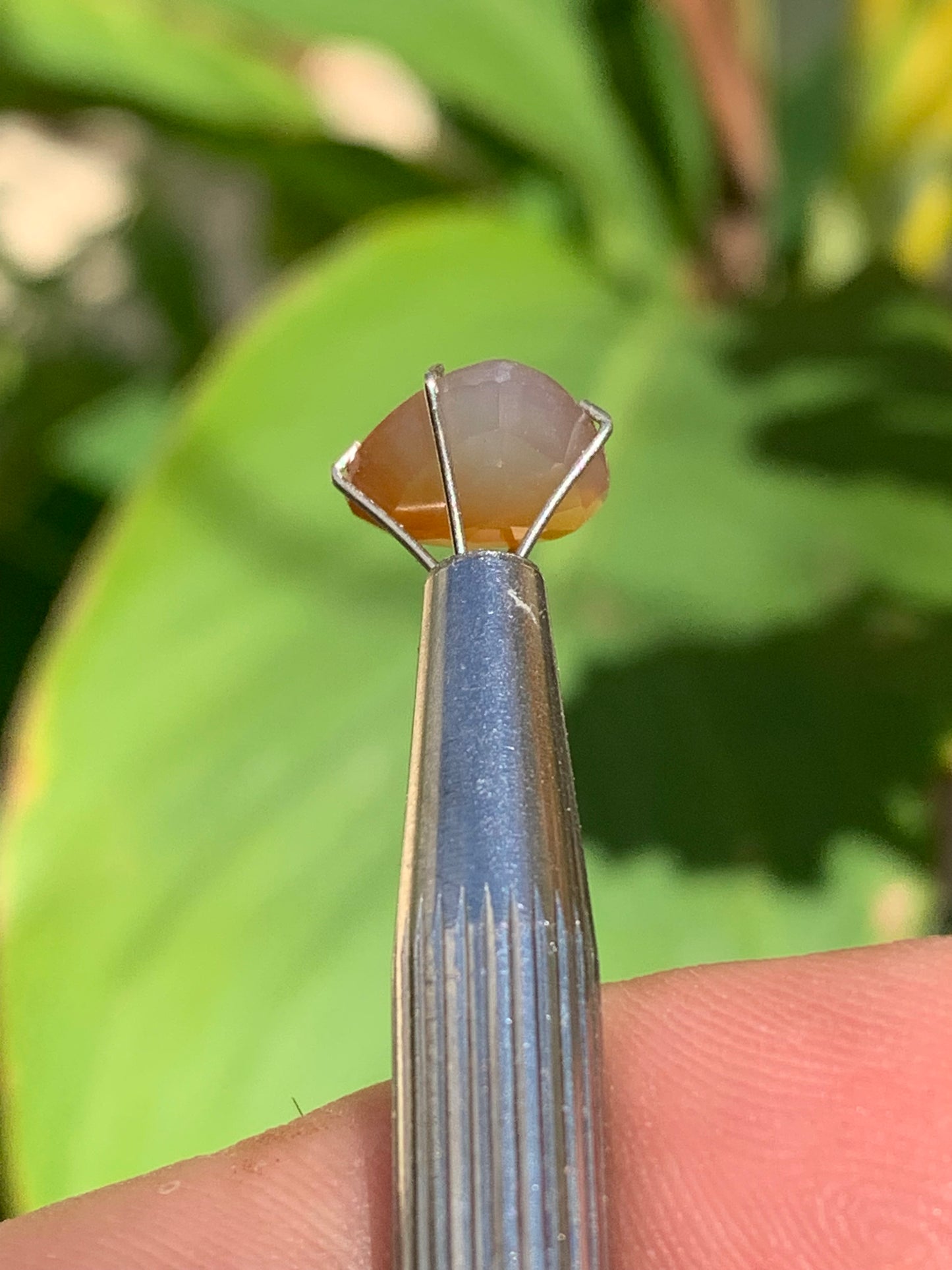 Cornaline, pierre fine taillée de 10mm x10 x4 - 2,5 carats. Parfait en bijouterie, collection ,exposition...