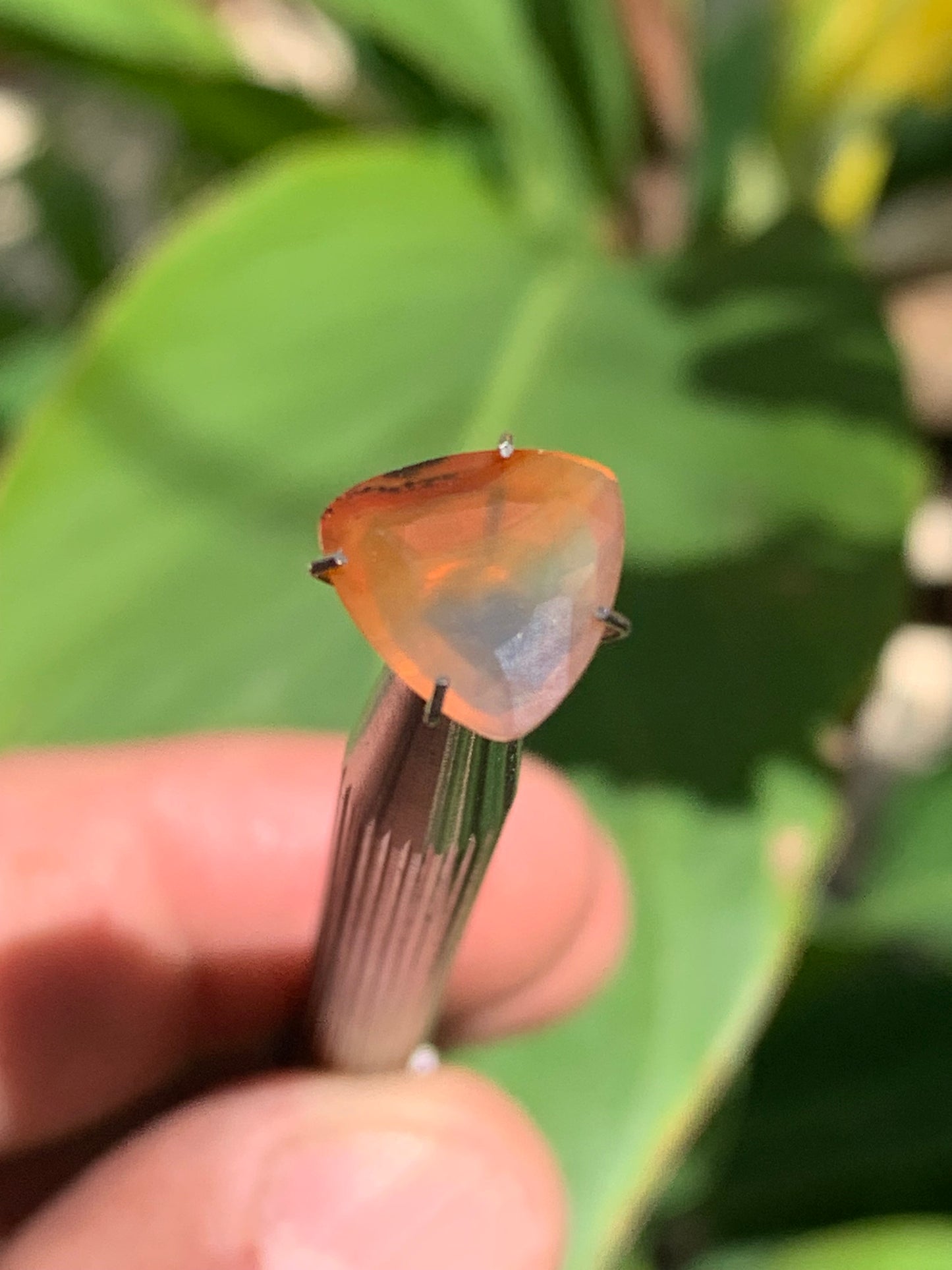 Cornaline, pierre fine taillée de 10mm x10 x4 - 2,5 carats. Parfait en bijouterie, collection ,exposition...