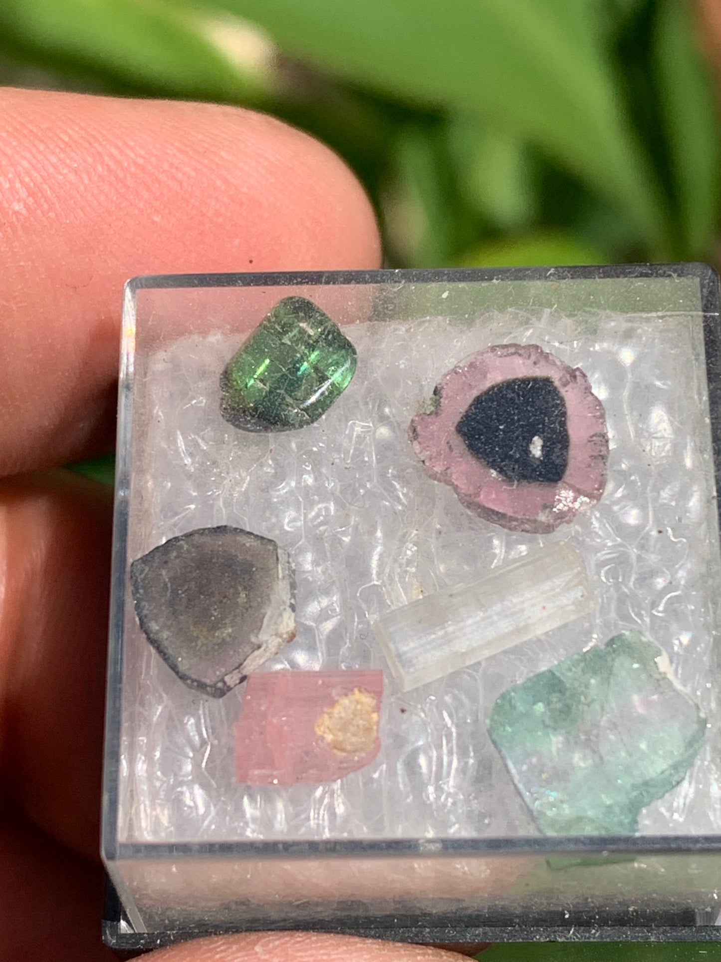 Tourmaline, coffret collection de 6 pièces de 7mm x7 x2 environ - 6,5 carats. Parfait en bijouterie, collection ,exposition...