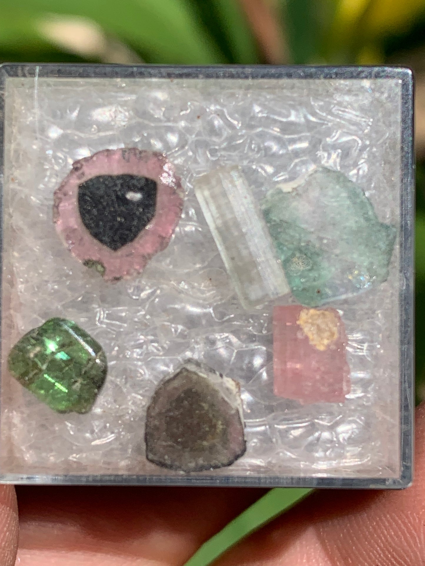 Tourmaline, coffret collection de 6 pièces de 7mm x7 x2 environ - 6,5 carats. Parfait en bijouterie, collection ,exposition...
