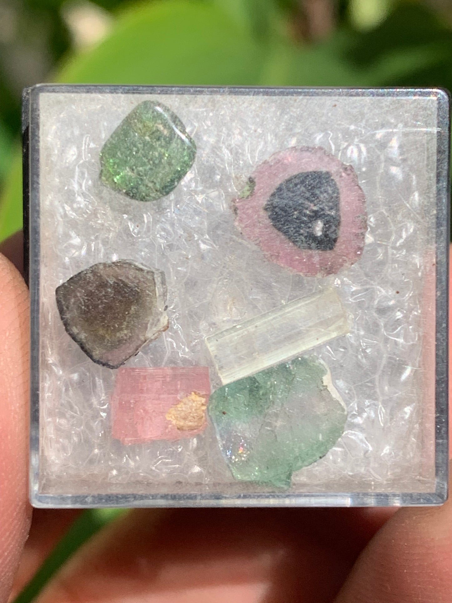 Tourmaline, coffret collection de 6 pièces de 7mm x7 x2 environ - 6,5 carats. Parfait en bijouterie, collection ,exposition...