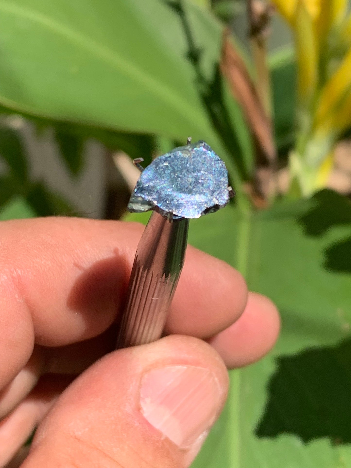 Tourmaline/ Indicolite, de 13mm x10 x 3 environ - 4,5 carats. Parfait en bijouterie, collection ,exposition...