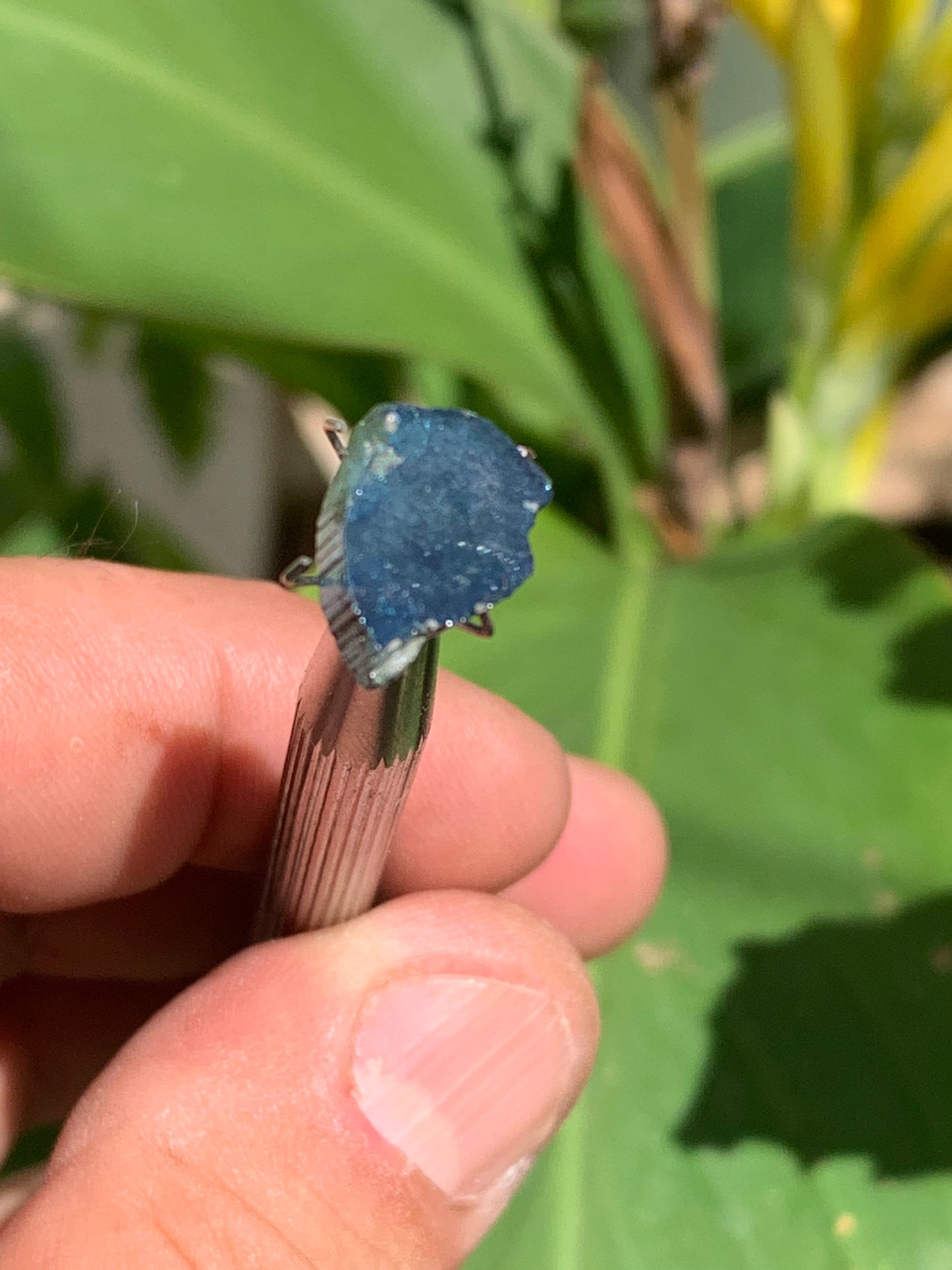 Tourmaline/ Indicolite, de 13mm x10 x 3 environ - 4,5 carats. Parfait en bijouterie, collection ,exposition...