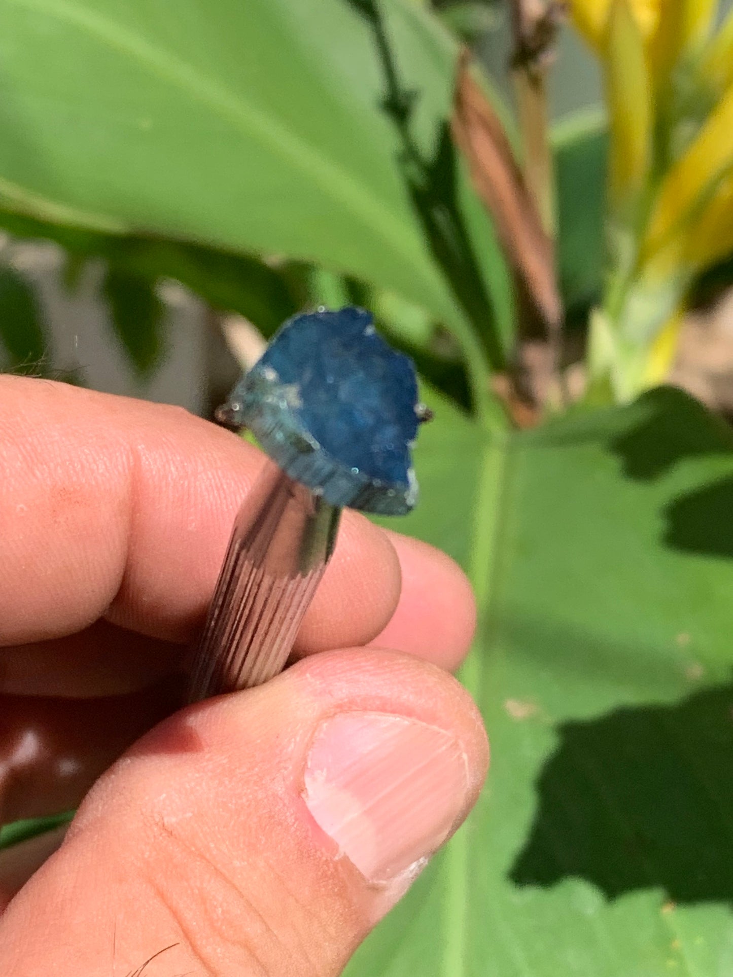Tourmaline/ Indicolite, de 13mm x10 x 3 environ - 4,5 carats. Parfait en bijouterie, collection ,exposition...
