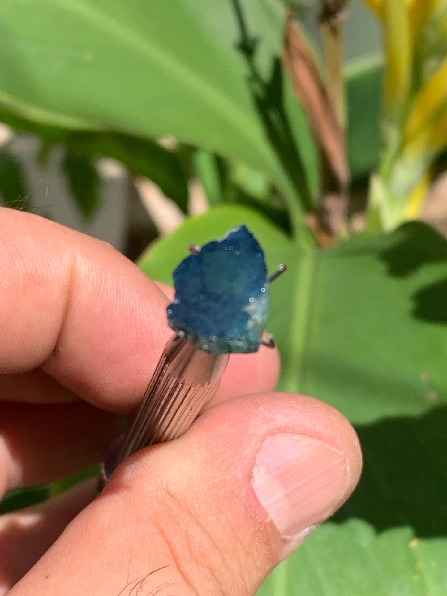 Tourmaline/ Indicolite, de 13mm x10 x 3 environ - 4,5 carats. Parfait en bijouterie, collection ,exposition...