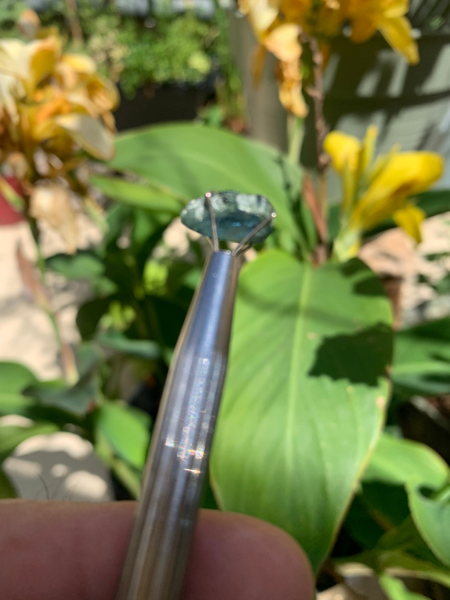 Tourmaline/ Indicolite, de 13mm x10 x 3 environ - 4,5 carats. Parfait en bijouterie, collection ,exposition...