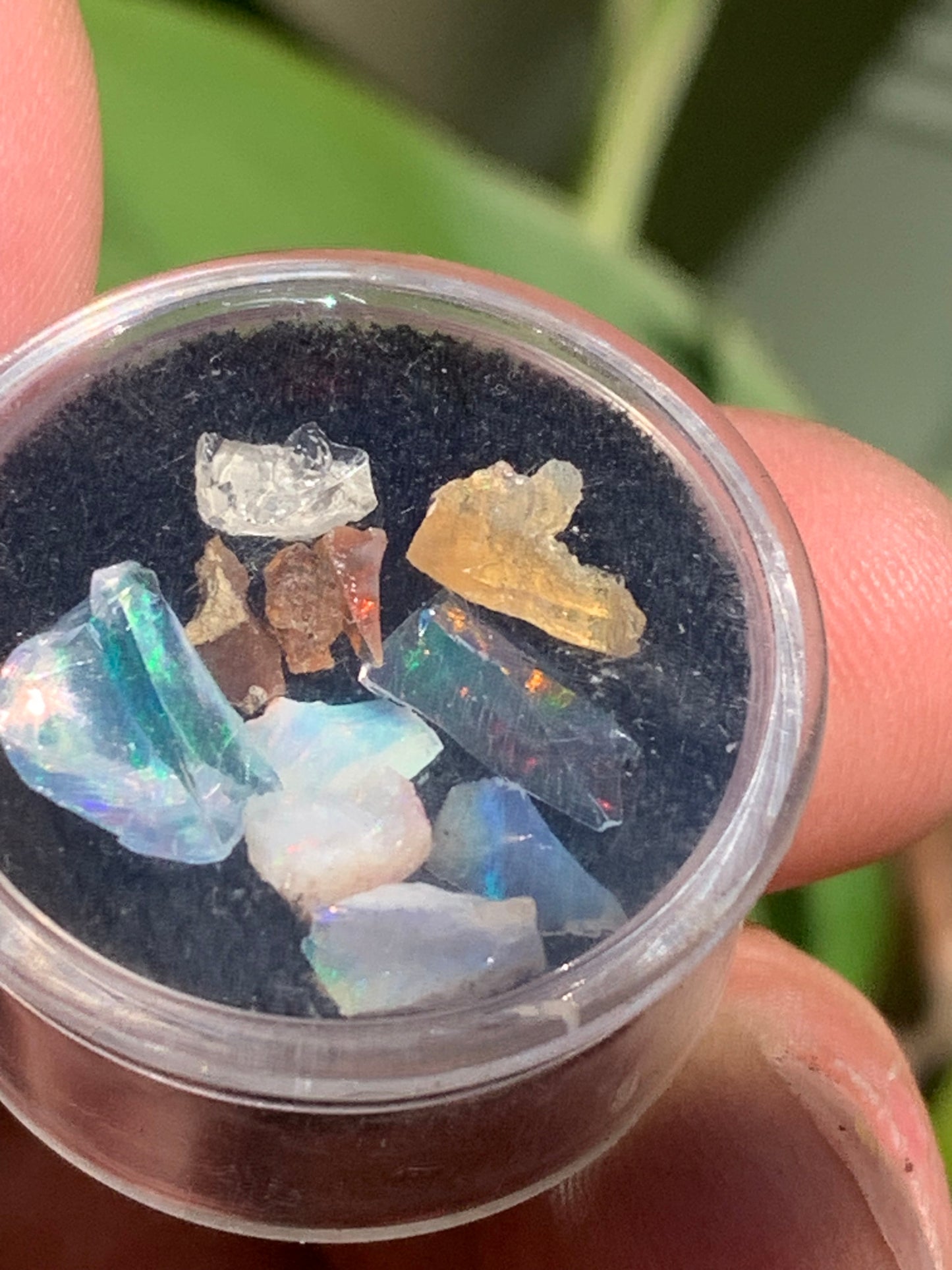 Opale Welo d'Ethiopie, lot de 10 pièces de 5mm x4 x2 environ - 0,8 gramme. Parfait en bijouterie, collection ,exposition...