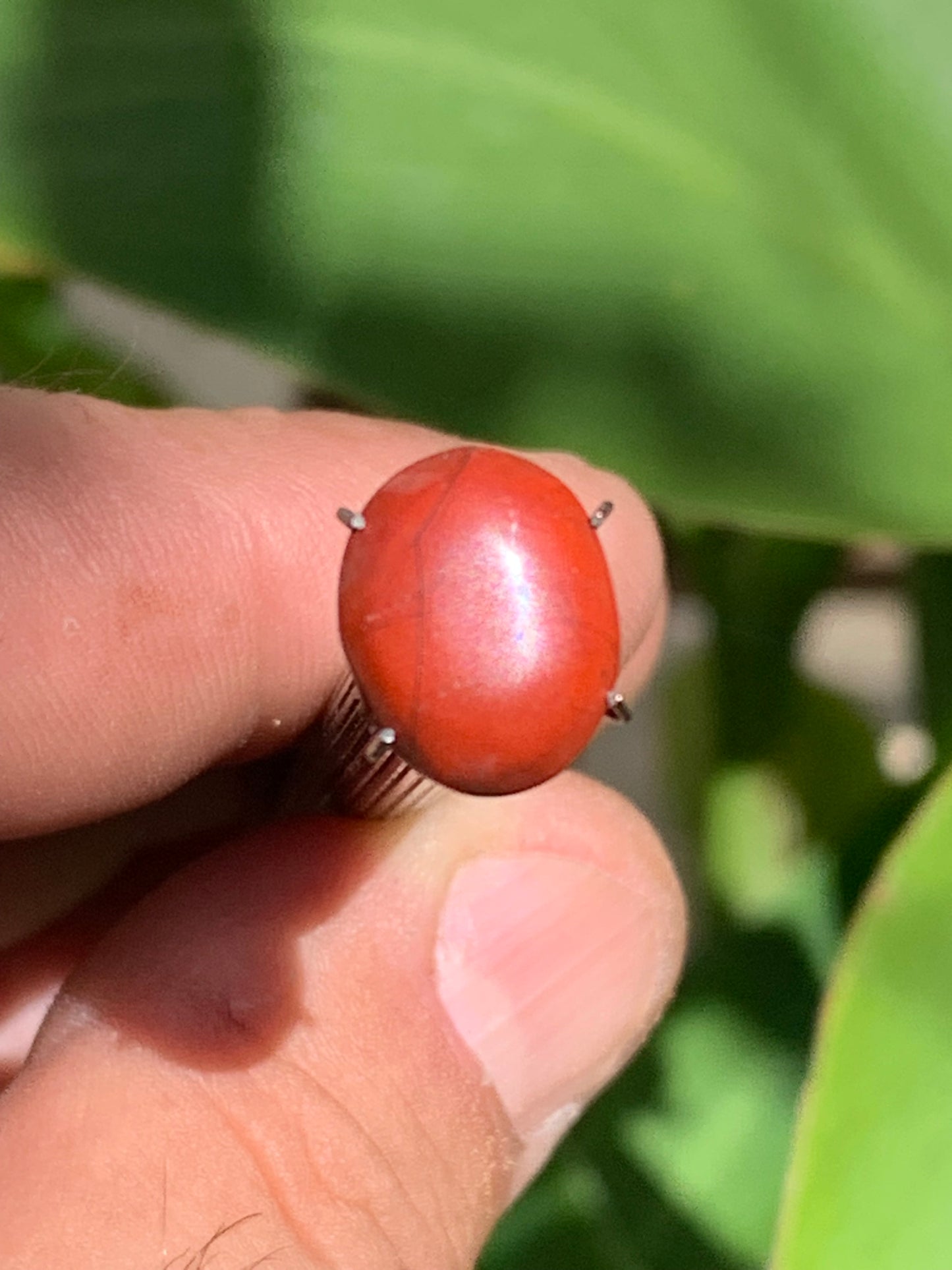 Jaspe rouge, cabochon de 13mm x10 x4 - 4 carats. Parfait en bijouterie, collection ,exposition...