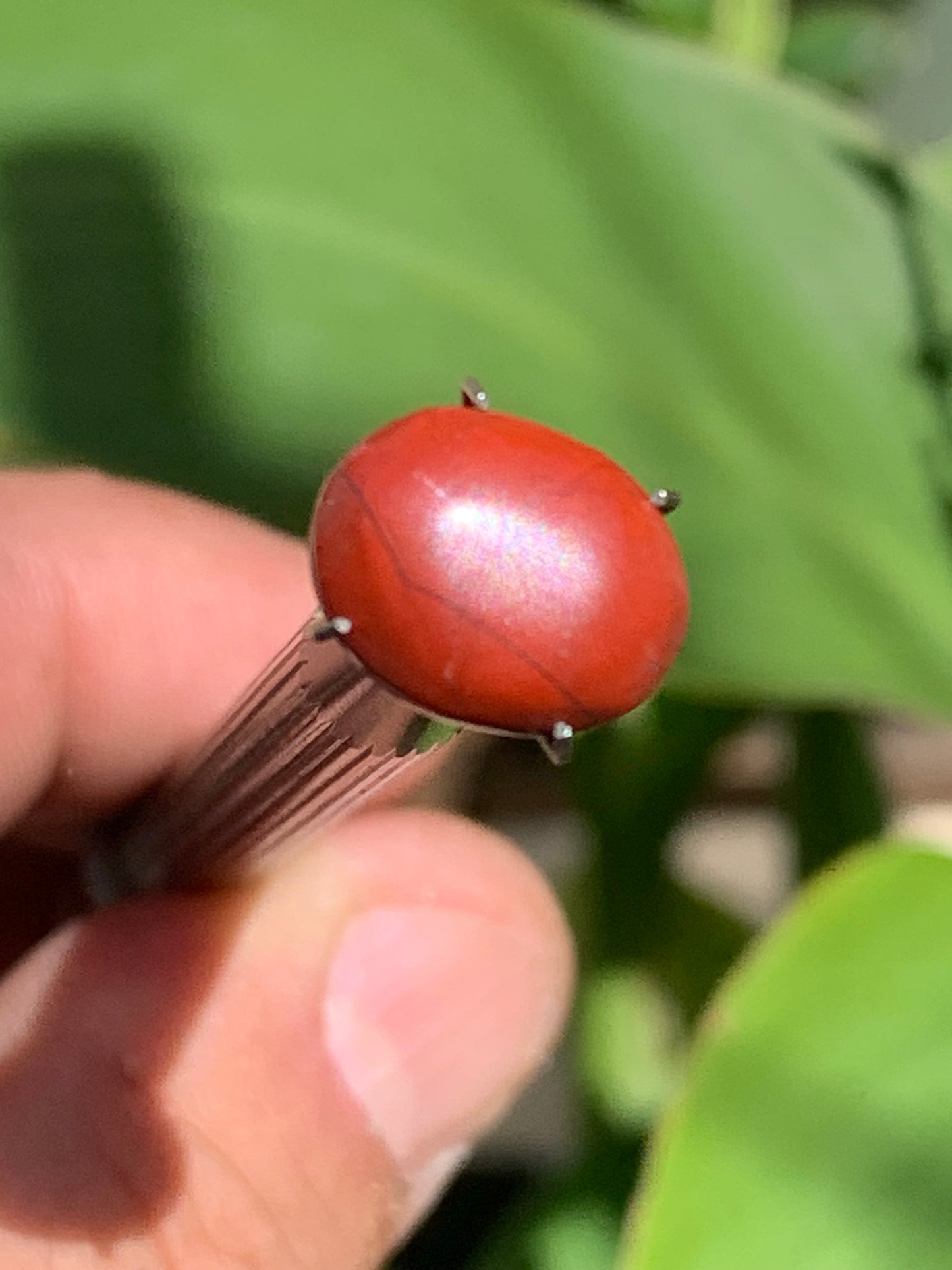 Jaspe rouge, cabochon de 13mm x10 x4 - 4 carats. Parfait en bijouterie, collection ,exposition...