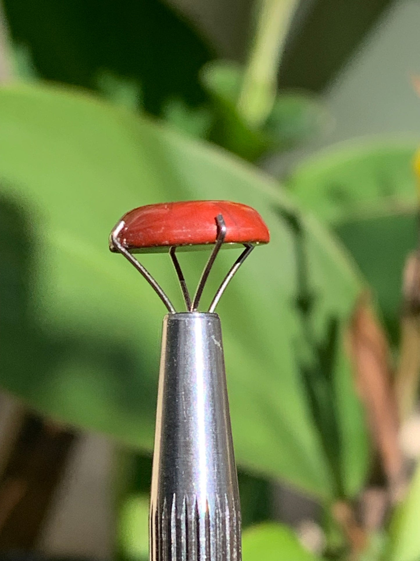 Jaspe rouge, cabochon de 13mm x10 x4 - 4 carats. Parfait en bijouterie, collection ,exposition...