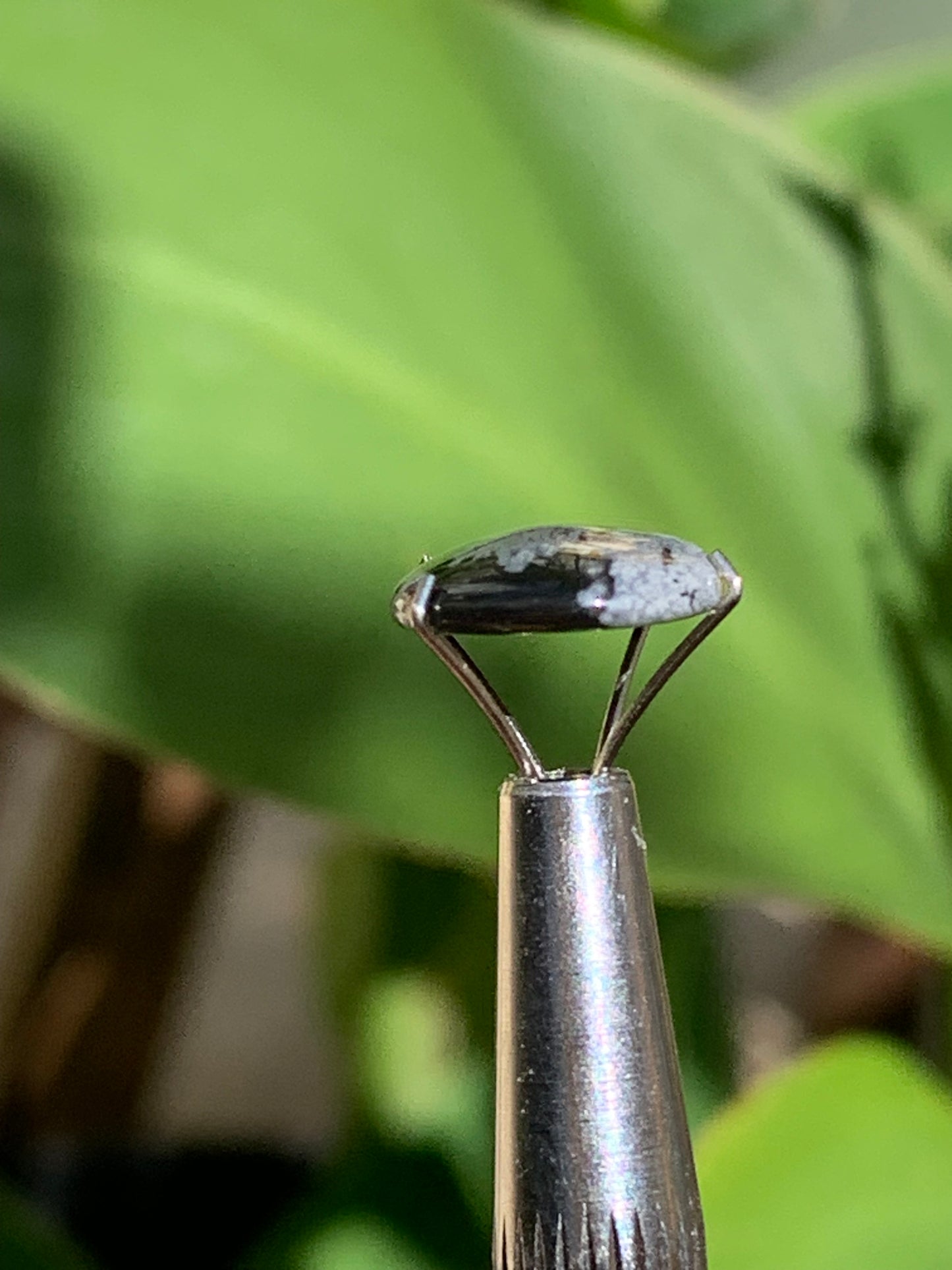 Obsidienne neige, cabochon de 13mm x11 x3 - 0,6 grammes/ 3 carats. Parfait en bijouterie, collection ,exposition...