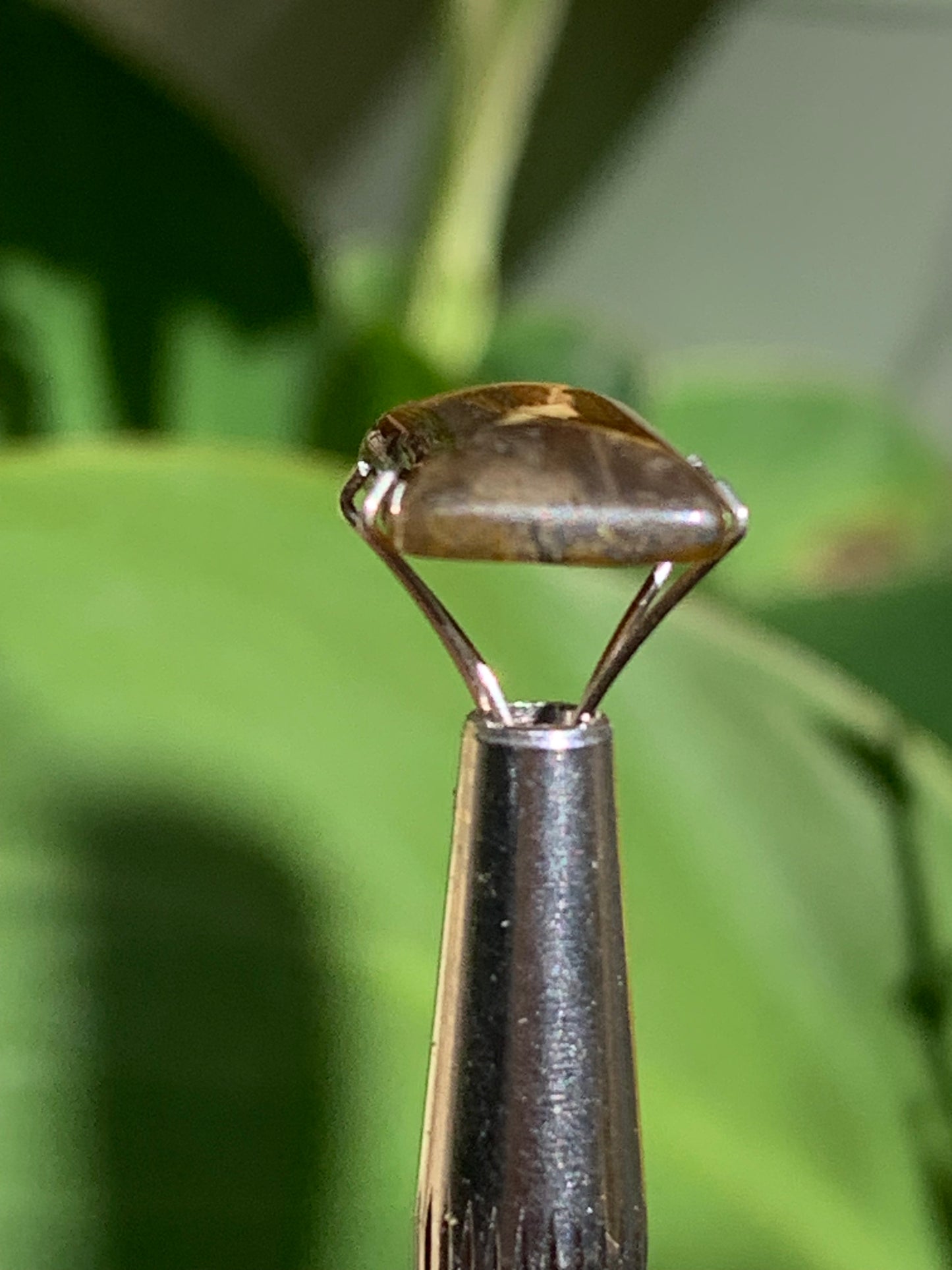 Oeil de tigre, cabochon de 14mm x10 x4 - 1,1 gramme/ 5,5 carats. Parfait en bijouterie, collection ,exposition...