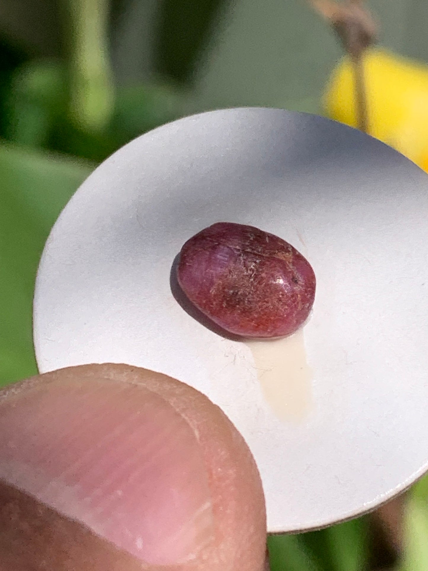 Rubis, cabochon de 10mm x7 x3 - 2,5 carats. Parfait en bijouterie, collection ,exposition...