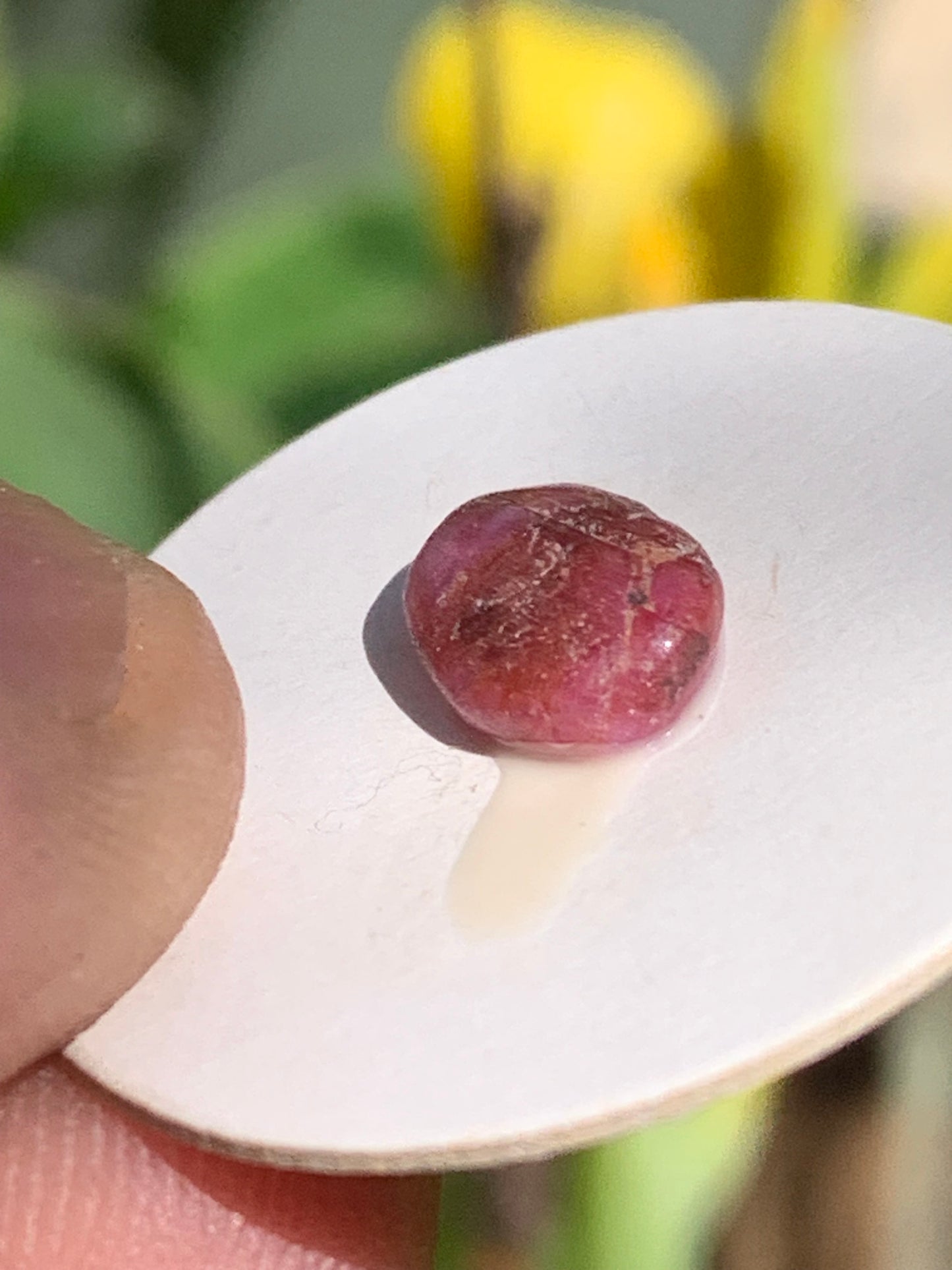 Rubis, cabochon de 10mm x7 x3 - 2,5 carats. Parfait en bijouterie, collection ,exposition...