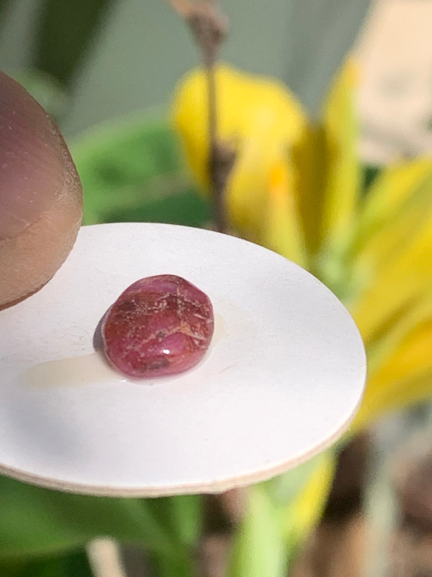 Rubis, cabochon de 10mm x7 x3 - 2,5 carats. Parfait en bijouterie, collection ,exposition...