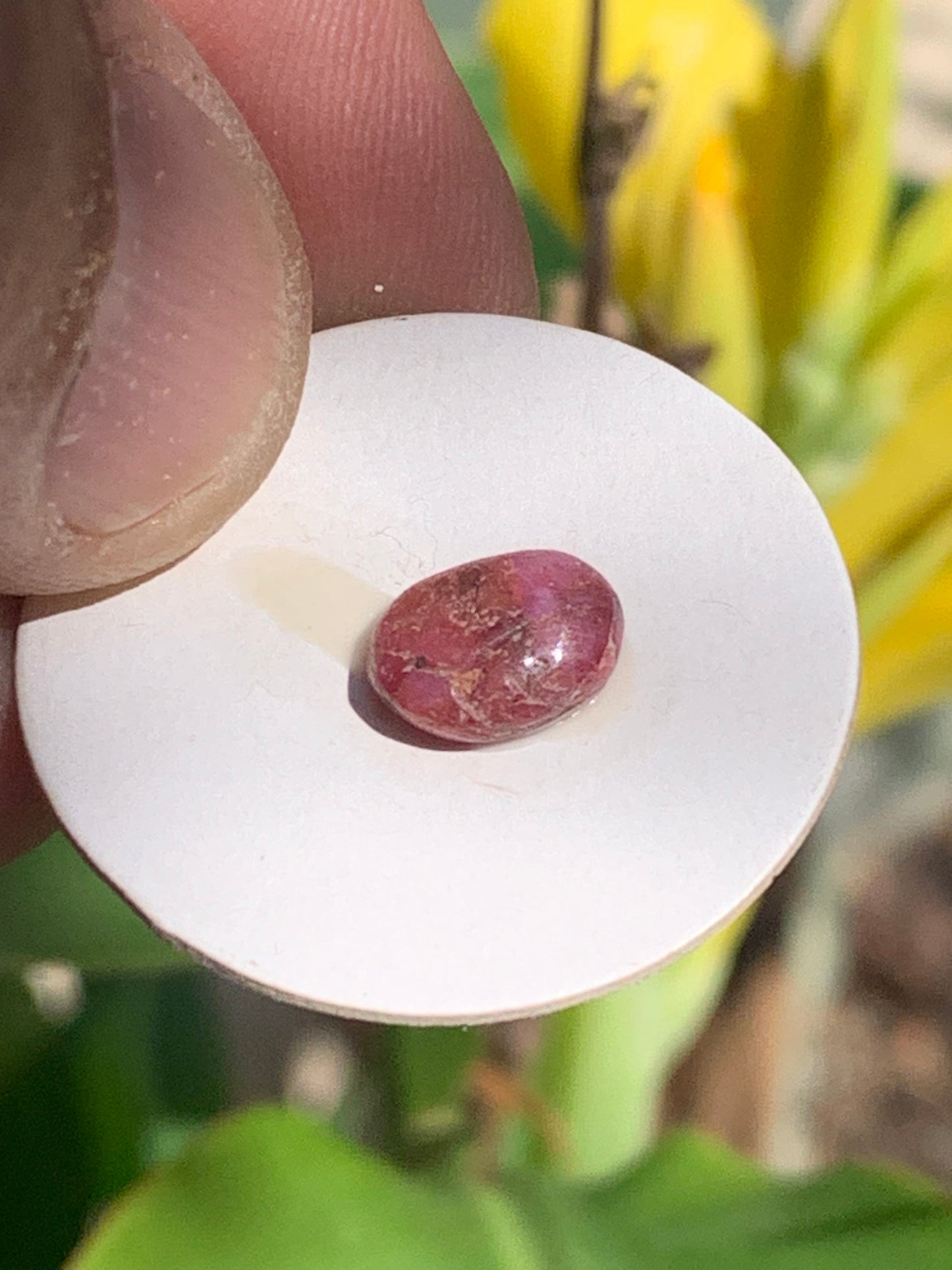 Rubis, cabochon de 10mm x7 x3 - 2,5 carats. Parfait en bijouterie, collection ,exposition...