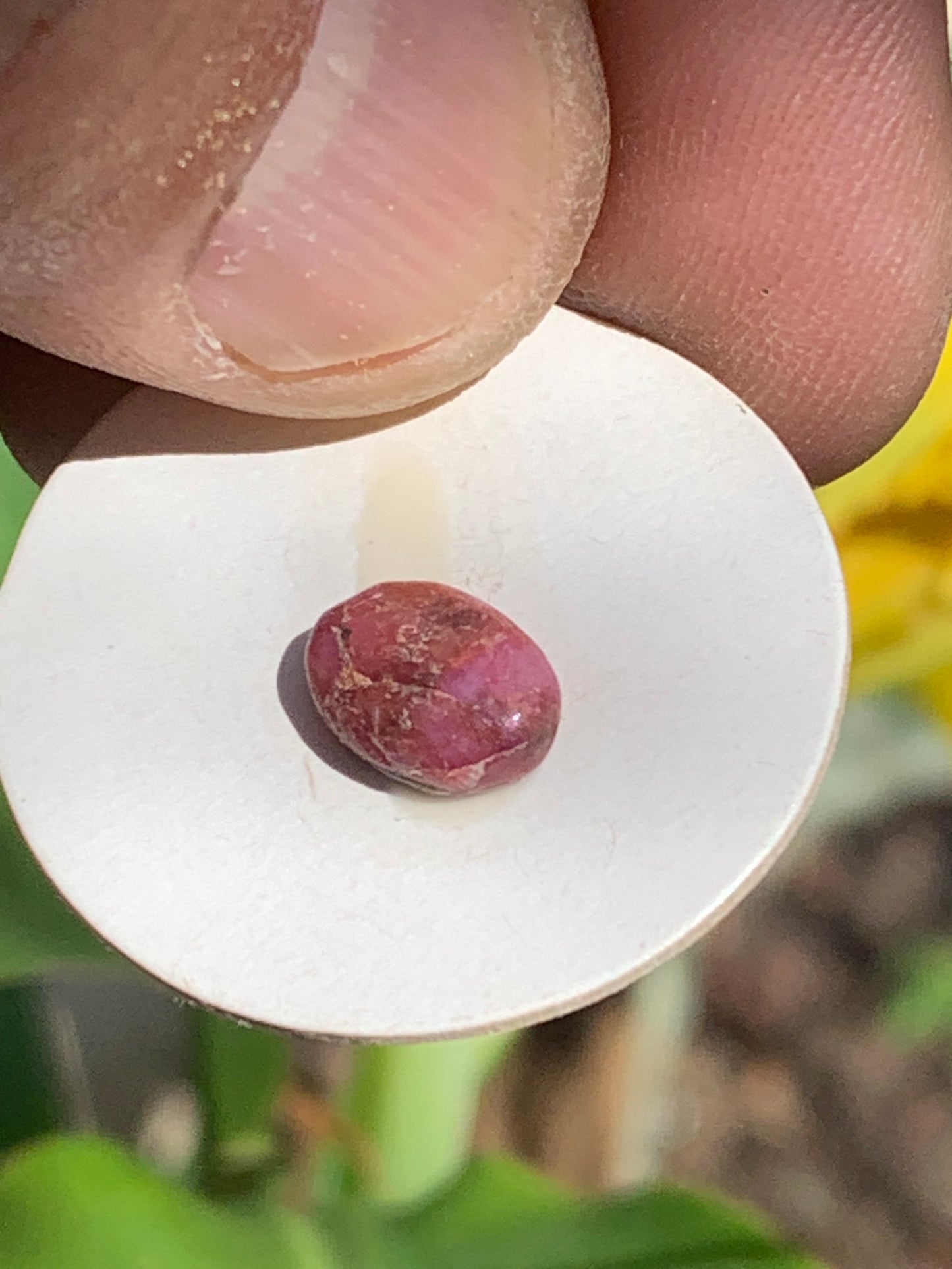 Rubis, cabochon de 10mm x7 x3 - 2,5 carats. Parfait en bijouterie, collection ,exposition...