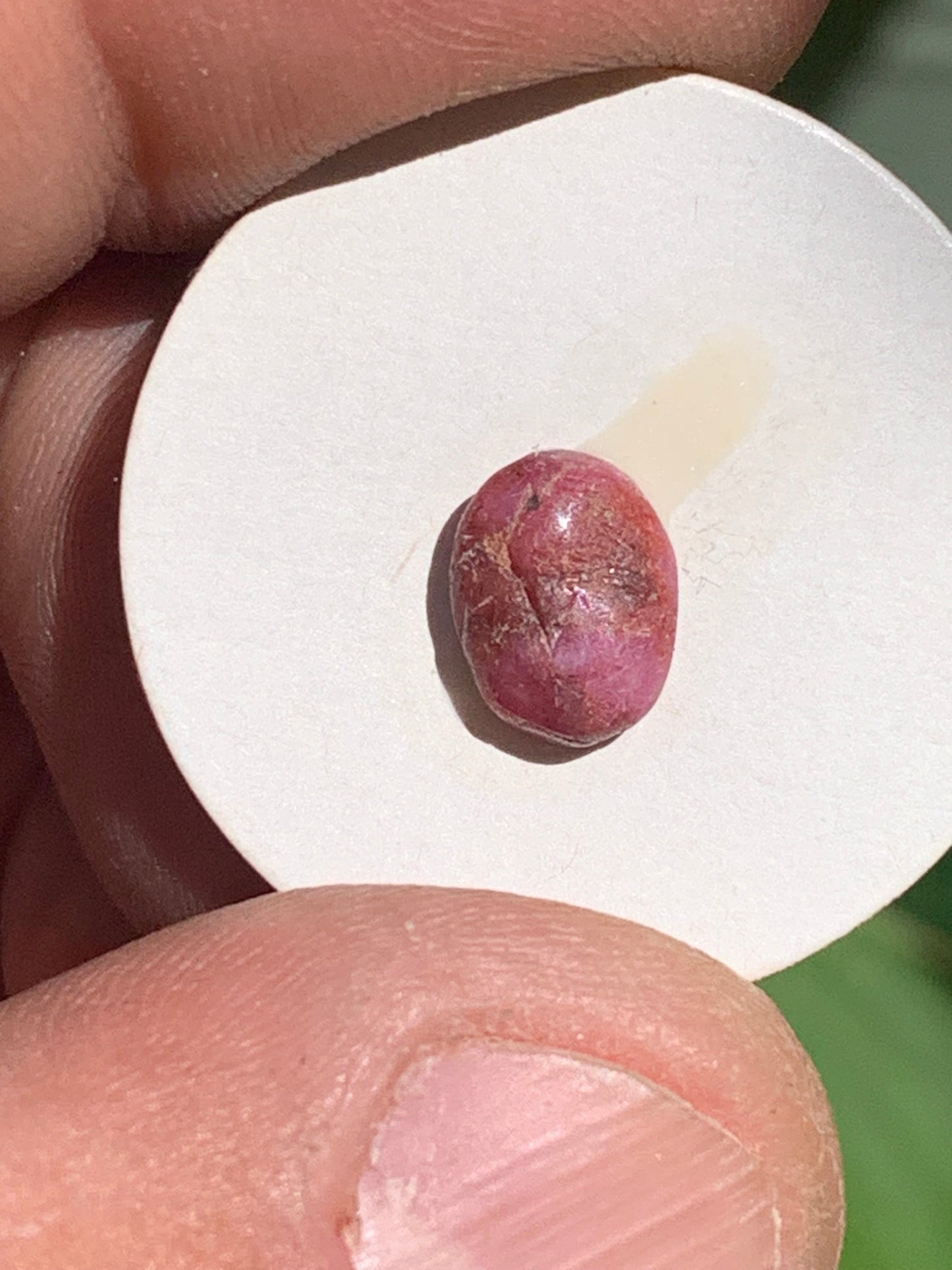 Rubis, cabochon de 10mm x7 x3 - 2,5 carats. Parfait en bijouterie, collection ,exposition...
