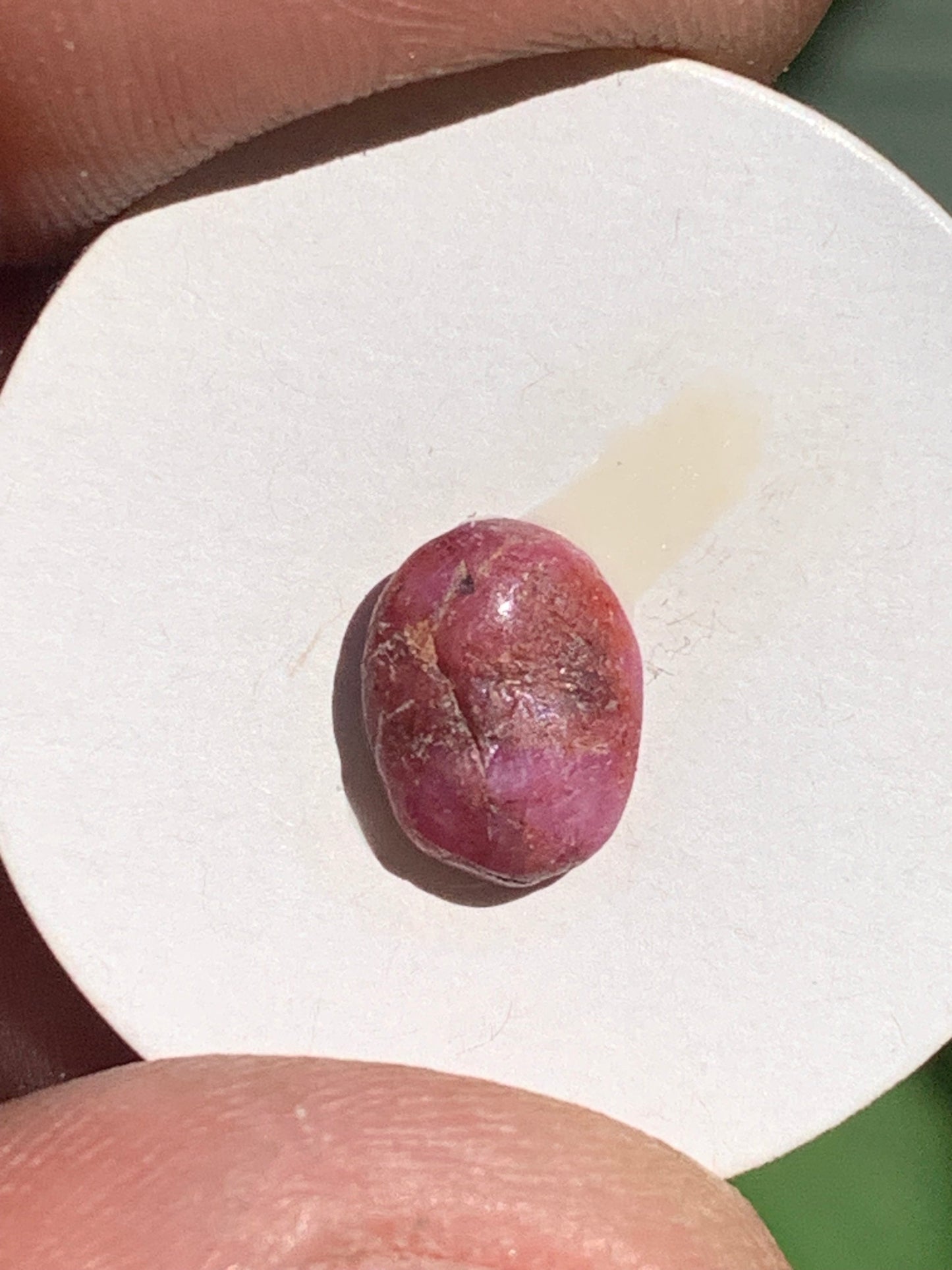 Rubis, cabochon de 10mm x7 x3 - 2,5 carats. Parfait en bijouterie, collection ,exposition...