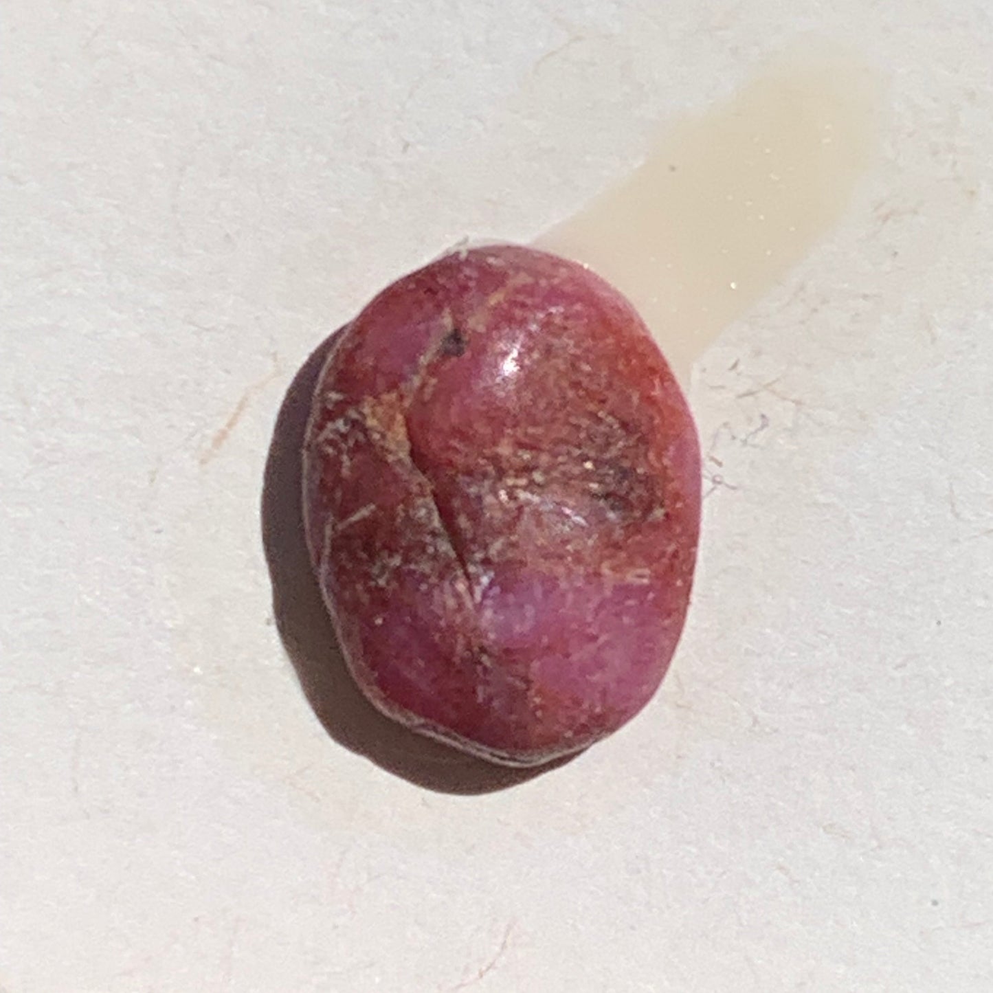 Rubis, cabochon de 10mm x7 x3 - 2,5 carats. Parfait en bijouterie, collection ,exposition...