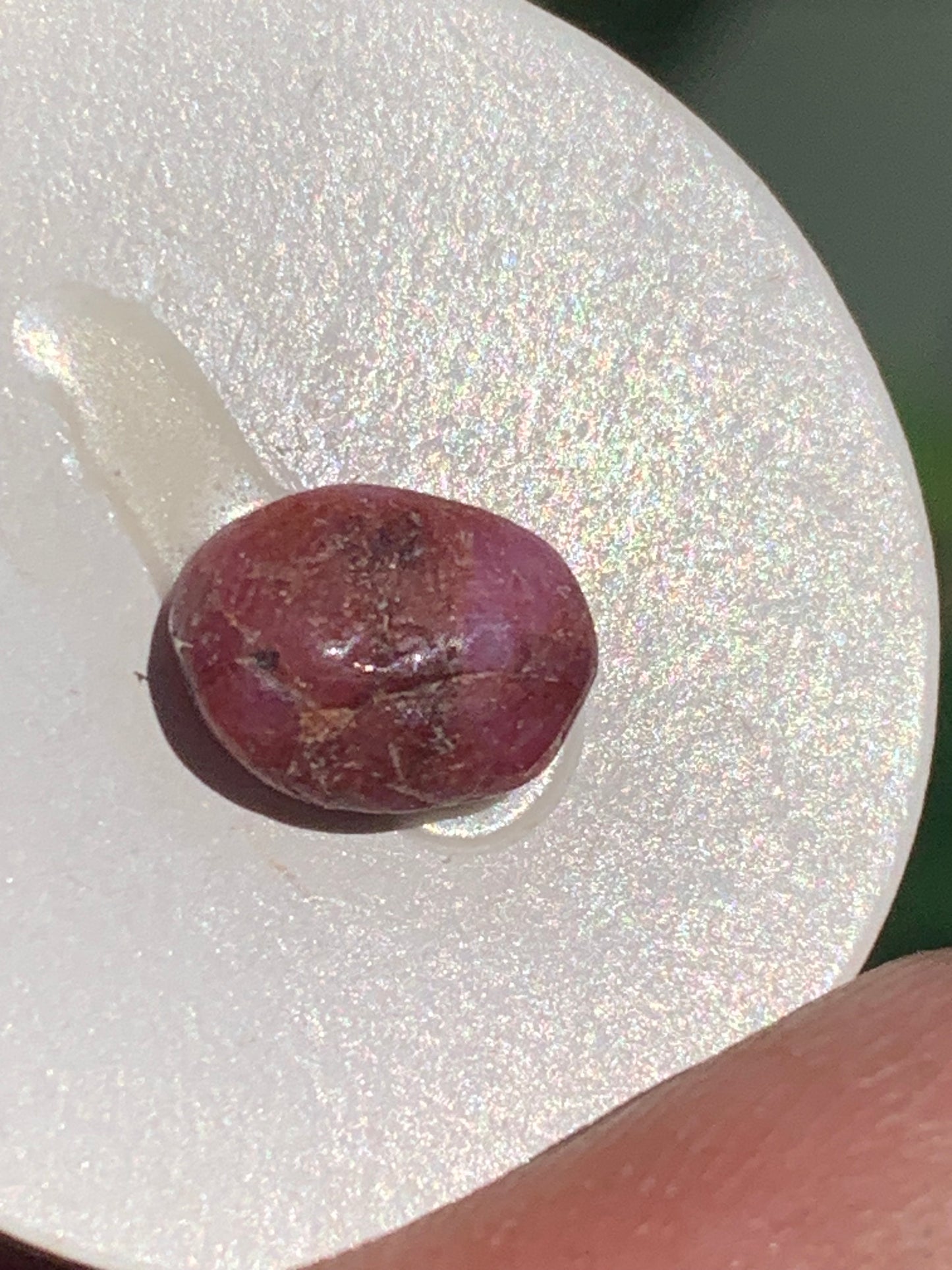 Rubis, cabochon de 10mm x7 x3 - 2,5 carats. Parfait en bijouterie, collection ,exposition...