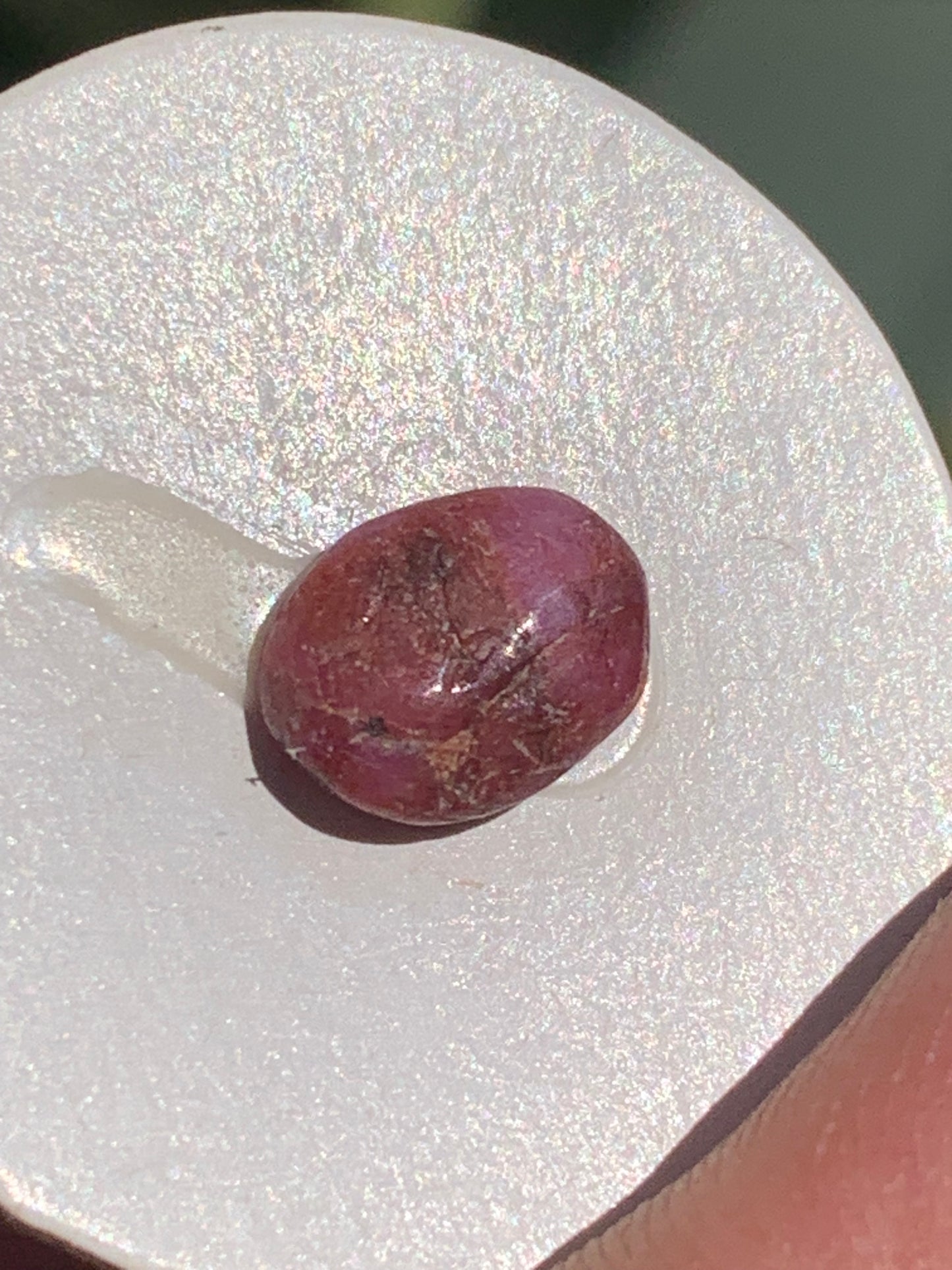 Rubis, cabochon de 10mm x7 x3 - 2,5 carats. Parfait en bijouterie, collection ,exposition...