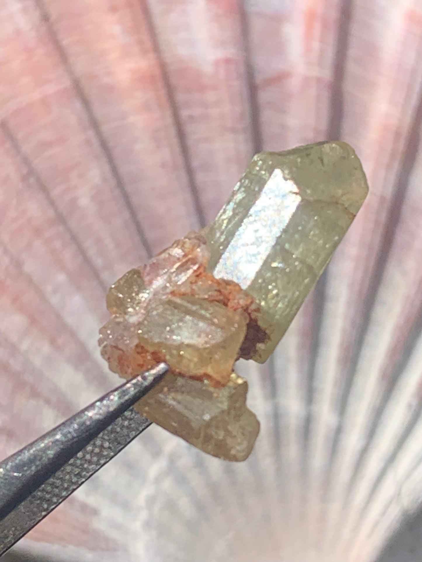 Apatite jaune, de 24mm x14 x10 environ - 16,5 carats. Parfait en bijouterie, collection ,exposition...
