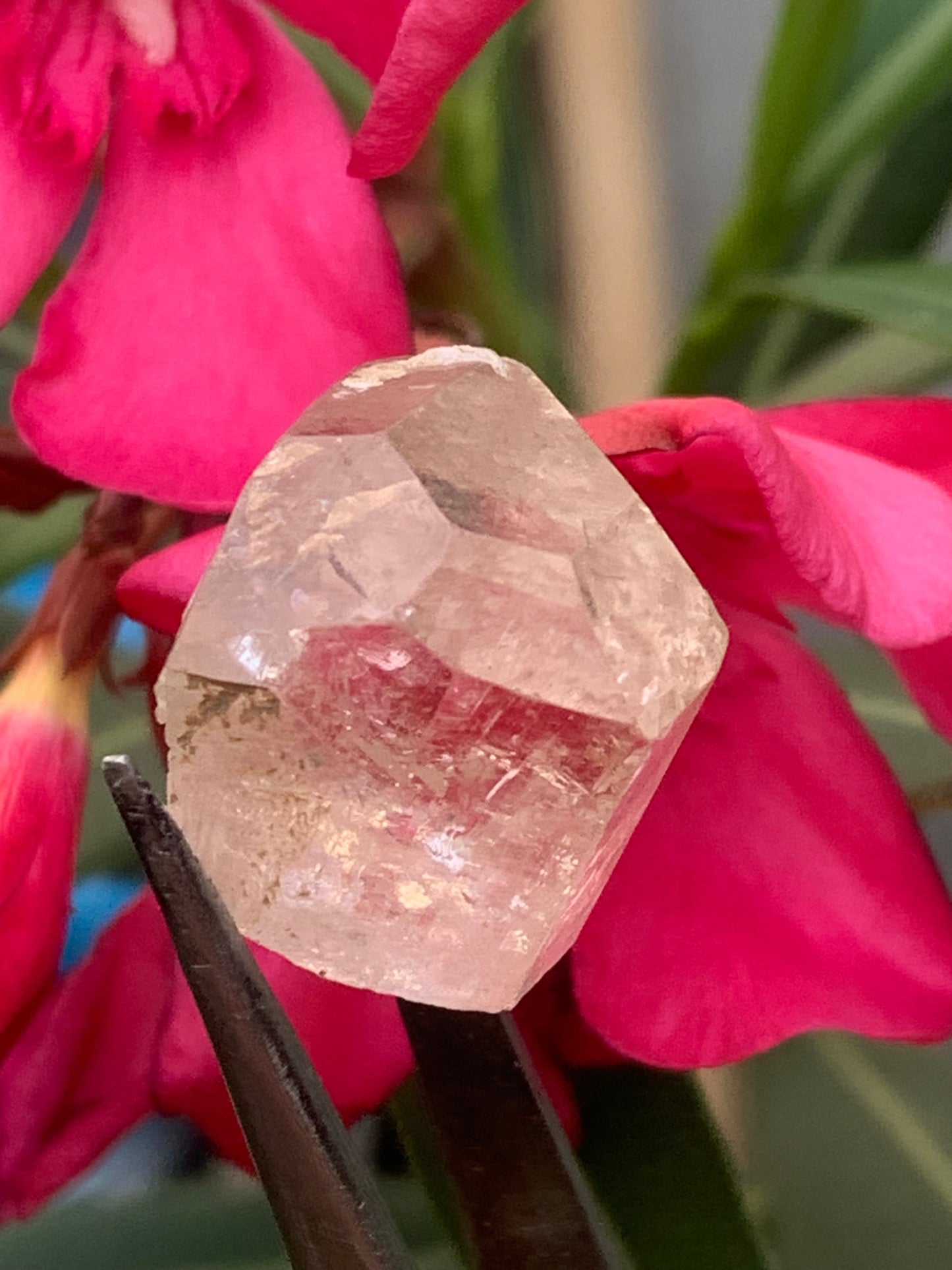Imperial Topaz, superb natural crystal measuring 21mm x 18mm x 12mm - 11 grams/ 55 carats. Beautiful collector's item, unique and quite rare on the market!