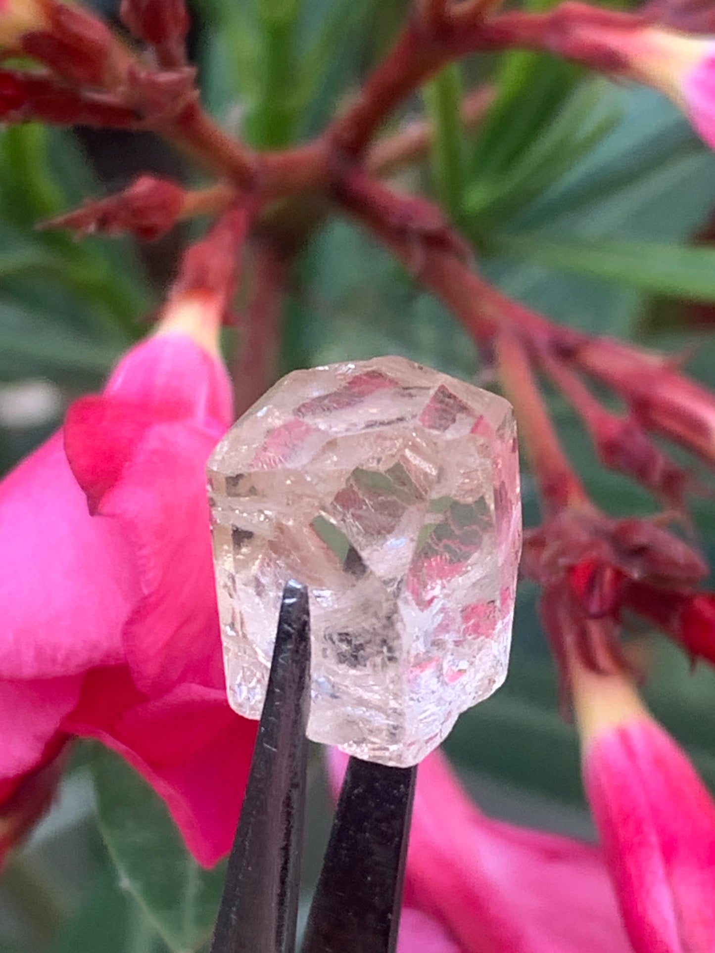 Topaze Impériale, superbe cristal naturel de 15mm x12 x11 - 4,6 grammes/ 23 carats. Belle pièce de collection, unique et assez rare sur le marché !