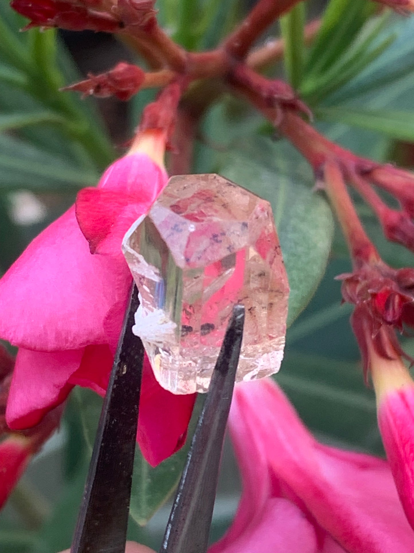 Topaze Impériale, superbe cristal naturel de 15mm x12 x11 - 4,6 grammes/ 23 carats. Belle pièce de collection, unique et assez rare sur le marché !
