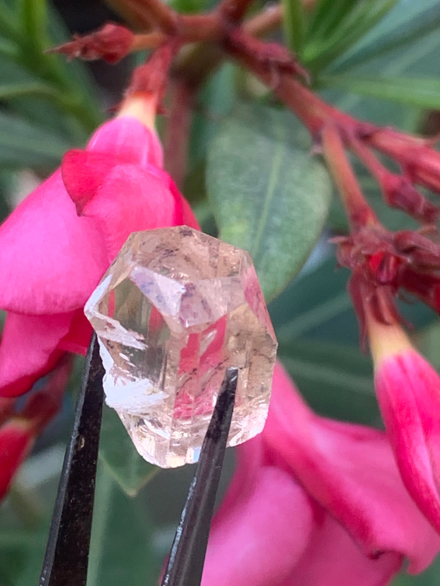 Topaze Impériale, superbe cristal naturel de 15mm x12 x11 - 4,6 grammes/ 23 carats. Belle pièce de collection, unique et assez rare sur le marché !