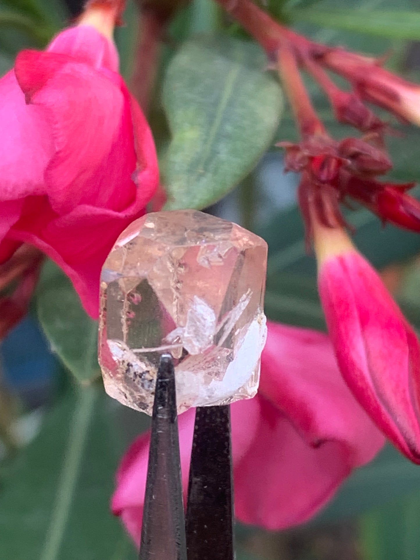 Topaze Impériale, superbe cristal naturel de 15mm x12 x11 - 4,6 grammes/ 23 carats. Belle pièce de collection, unique et assez rare sur le marché !