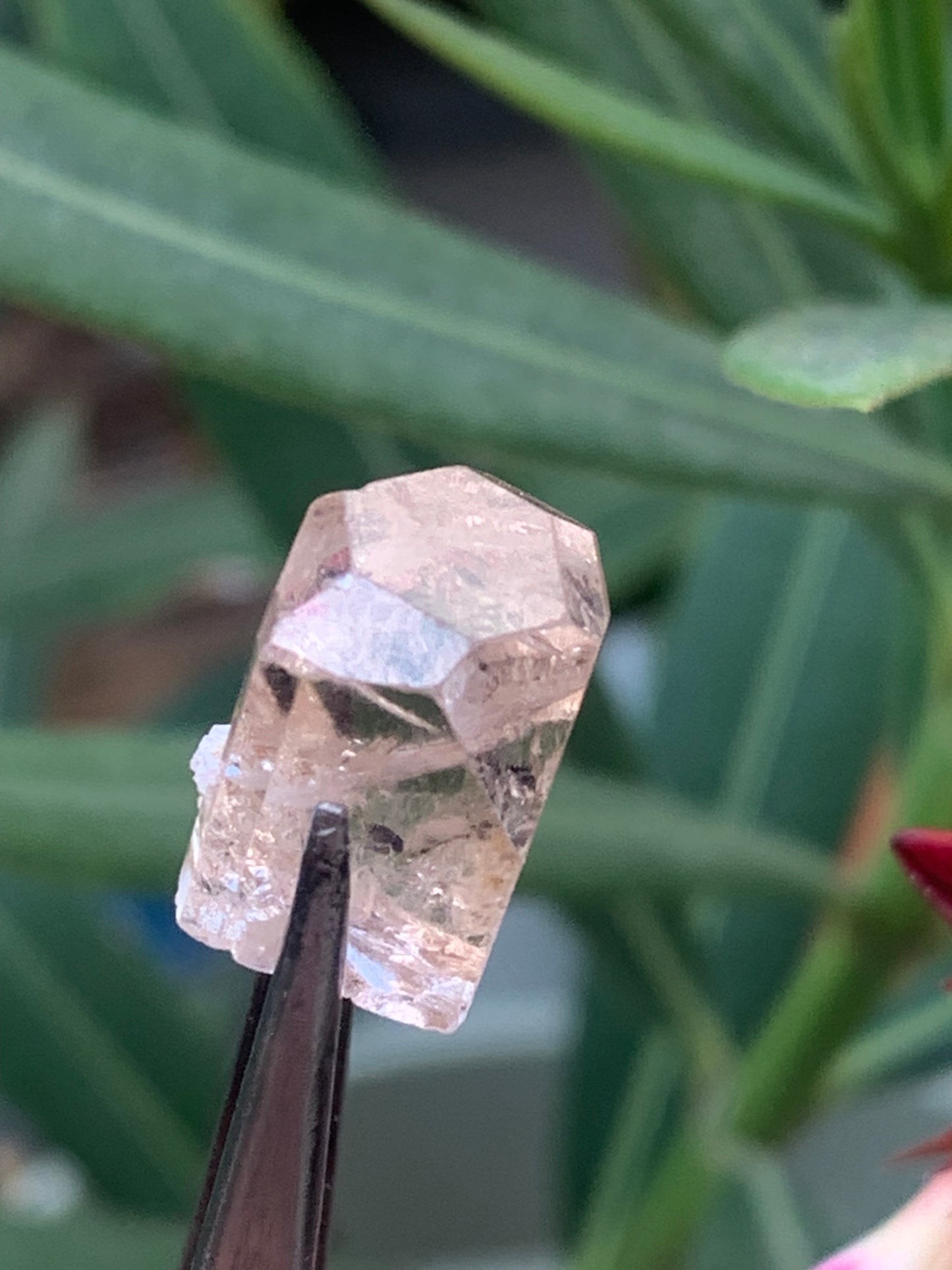 Topaze Impériale, superbe cristal naturel de 15mm x12 x11 - 4,6 grammes/ 23 carats. Belle pièce de collection, unique et assez rare sur le marché !