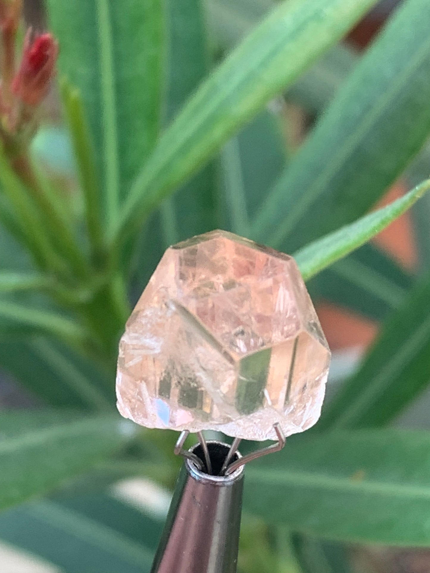 Topaze Impériale, superbe cristal naturel de 15mm x11 x10 - 4,1 grammes/ 20,5 carats. Belle pièce de collection, unique et assez rare !
