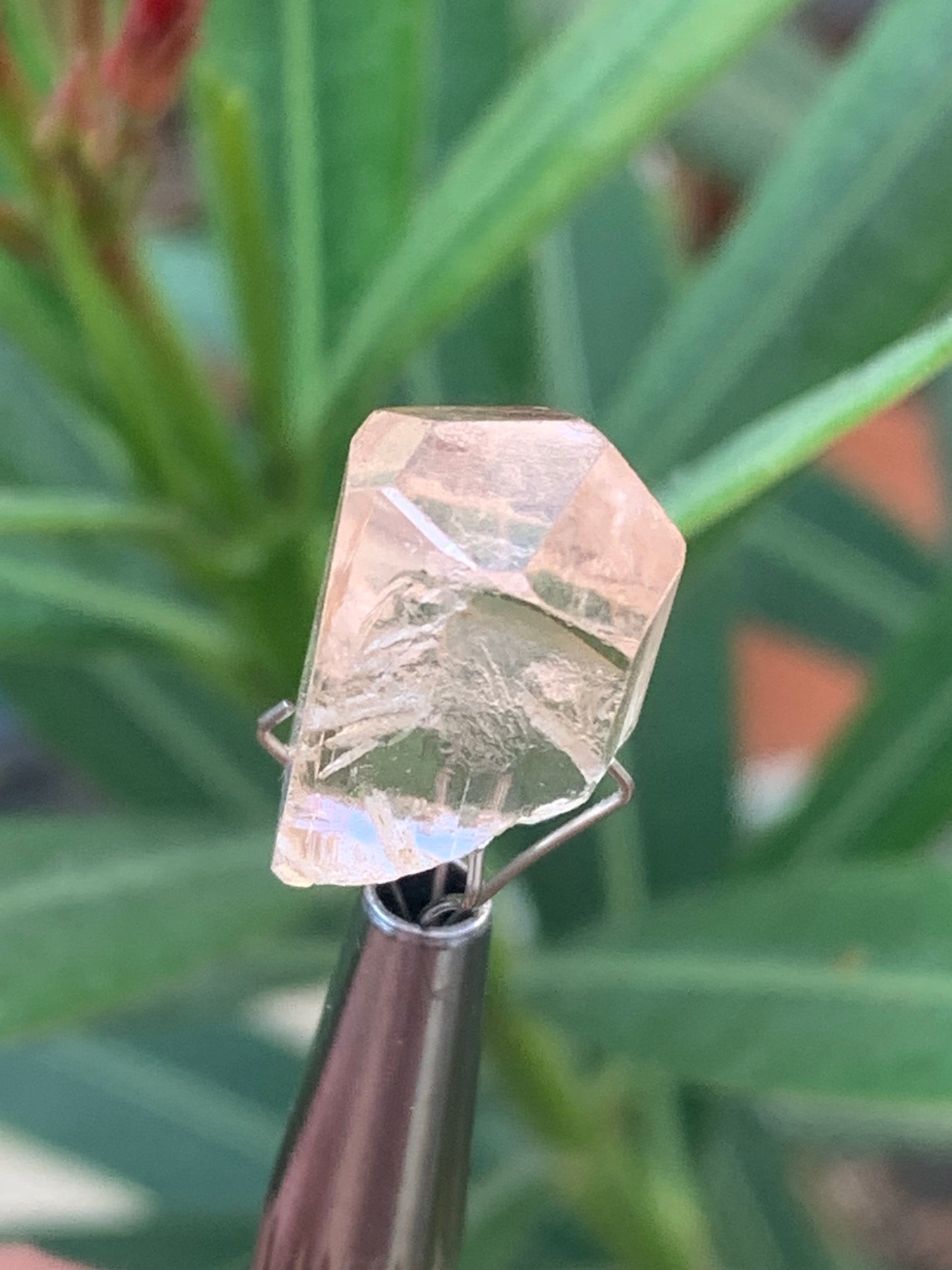 Topaze Impériale, superbe cristal naturel de 15mm x11 x10 - 4,1 grammes/ 20,5 carats. Belle pièce de collection, unique et assez rare !