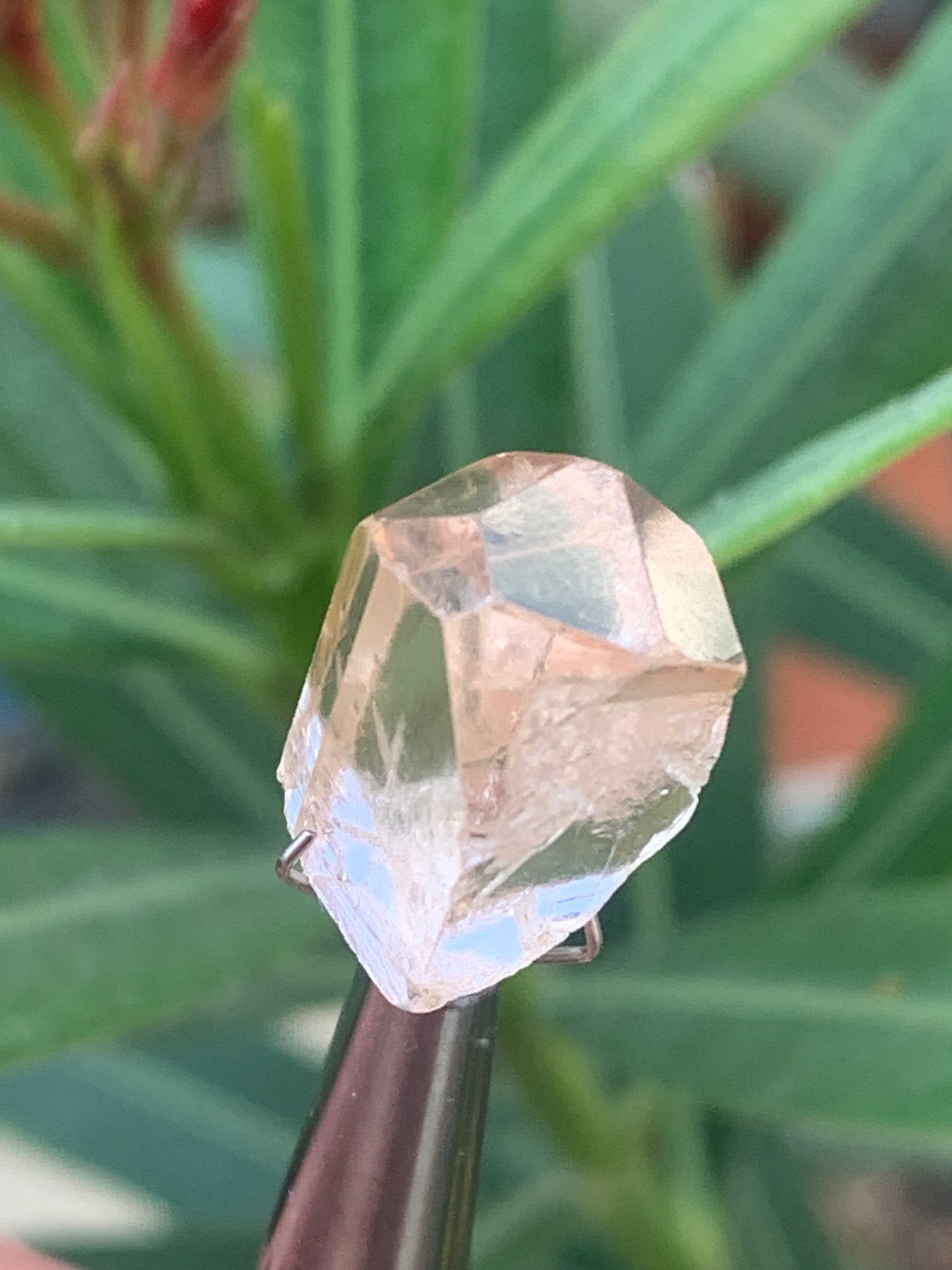 Topaze Impériale, superbe cristal naturel de 15mm x11 x10 - 4,1 grammes/ 20,5 carats. Belle pièce de collection, unique et assez rare !