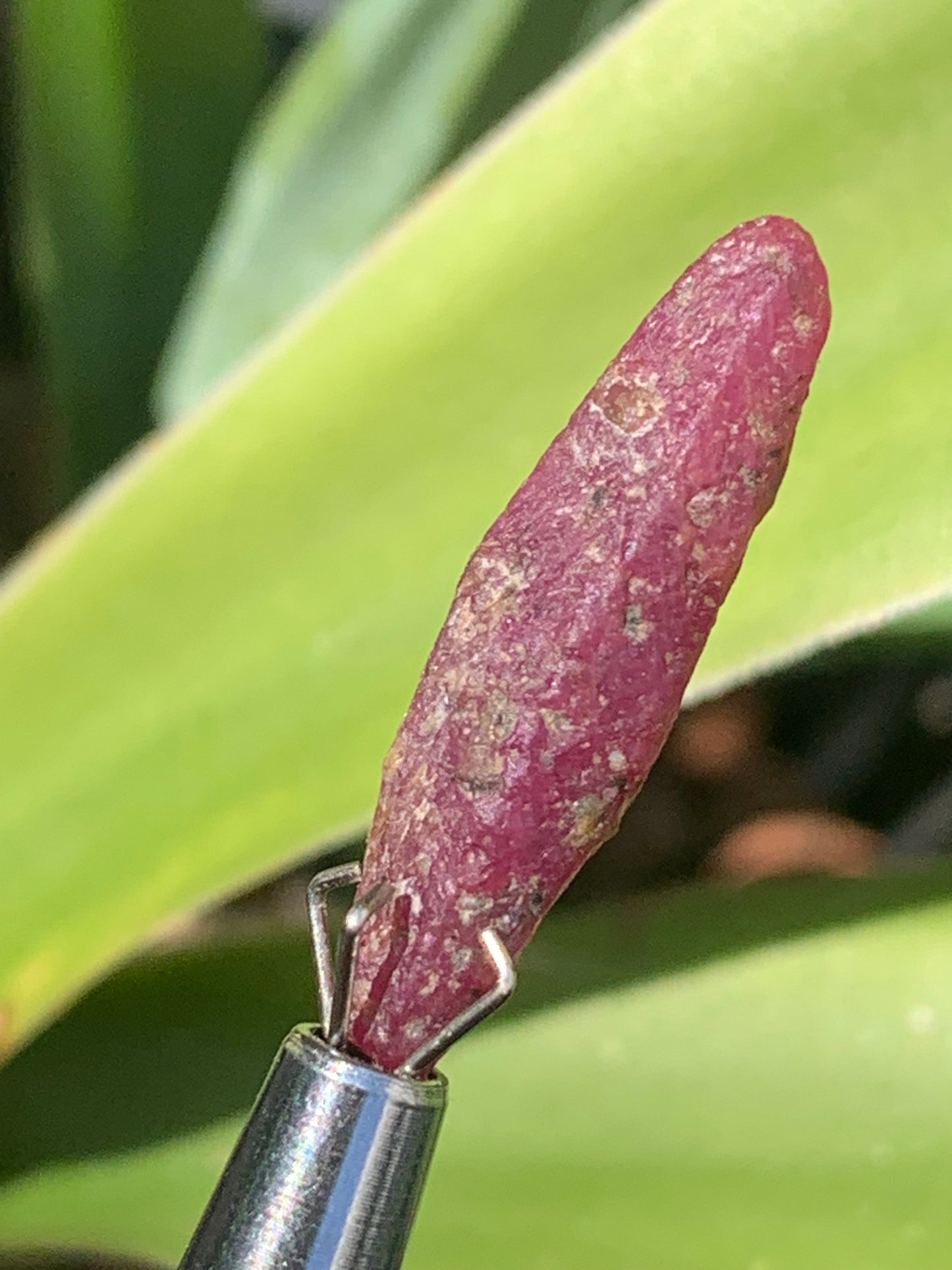 Rubis 'navette' de Mauritanie, cristaux bruts vendus a l'unité ou en lot, d'environ de 24mm x6 x 6 - 6,1 grammes (lot). Parfait en bijouterie, collection ,exposition...