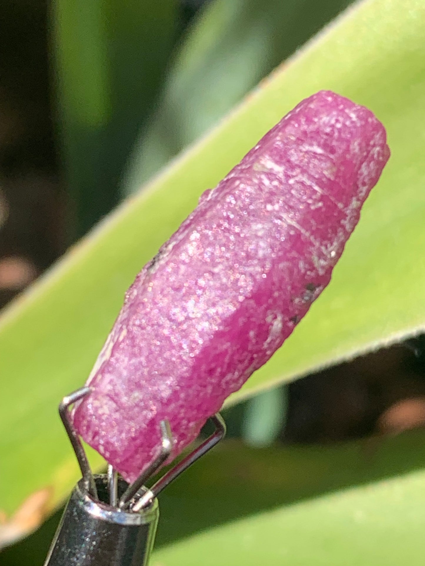 Rubis 'navette' de Mauritanie, cristaux bruts vendus a l'unité ou en lot, d'environ de 24mm x6 x 6 - 6,1 grammes (lot). Parfait en bijouterie, collection ,exposition...