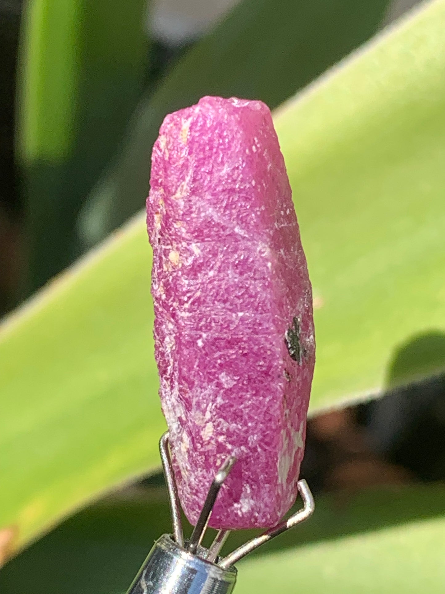 Rubis 'navette' de Mauritanie, cristaux bruts vendus a l'unité ou en lot, d'environ de 24mm x6 x 6 - 6,1 grammes (lot). Parfait en bijouterie, collection ,exposition...