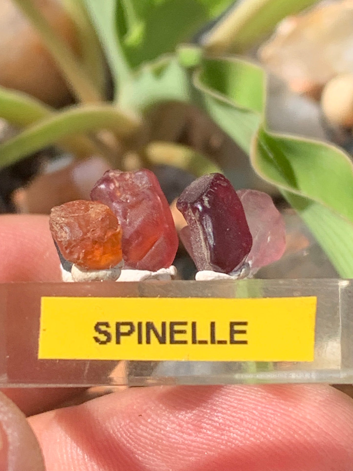 Spinelle, lot de 5 cristaux bruts de 5mm x4 x3 environ - 11 carats. Parfait en bijouterie, collection ,exposition...