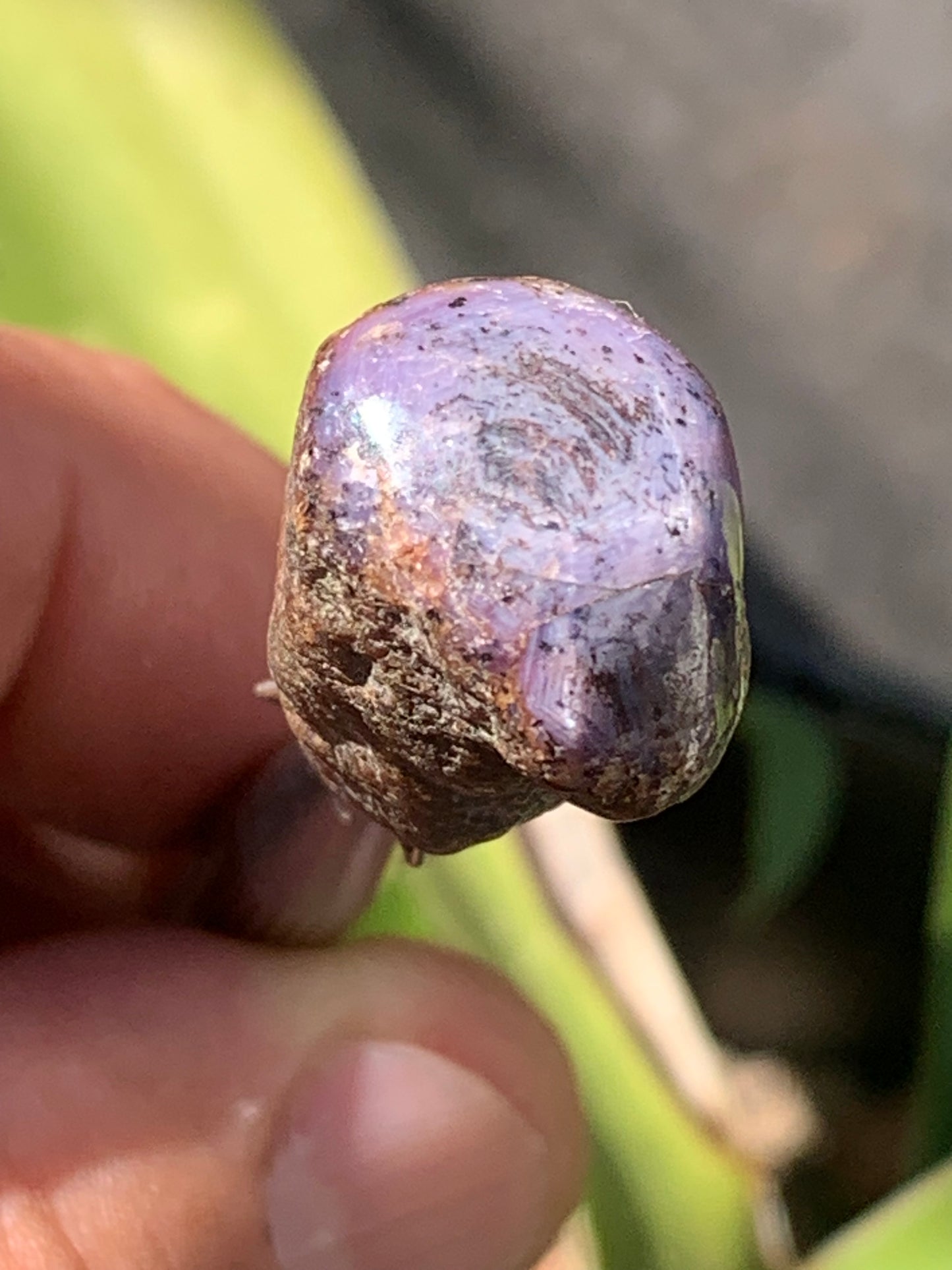 Rubis étoilé semi poli de 29mm x18 x14 - 12,1 grammes. Parfait en bijouterie, collection ,exposition...