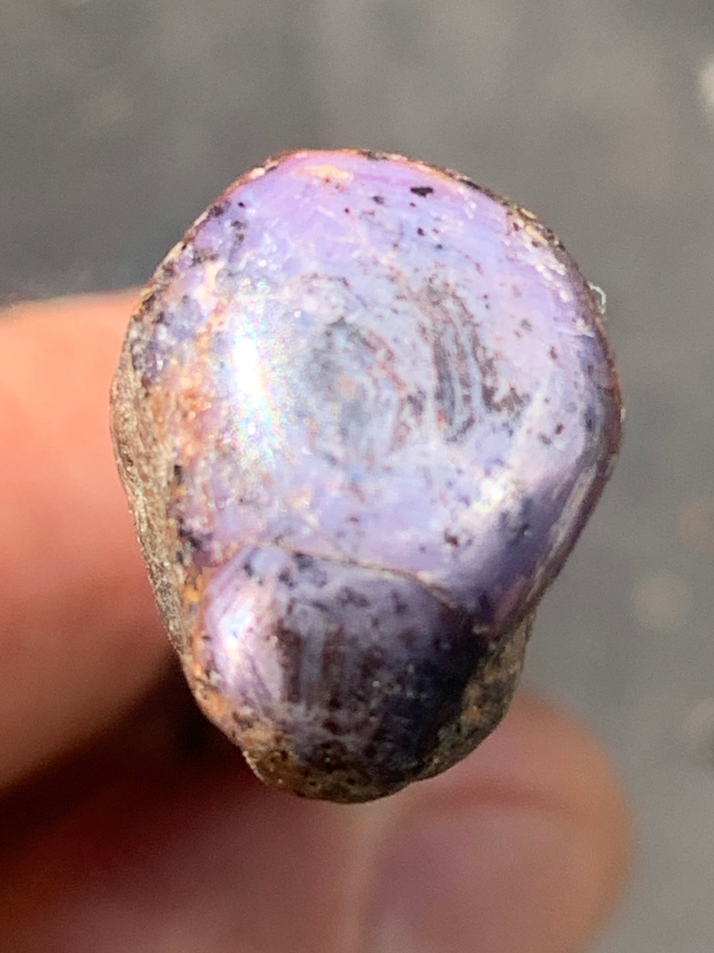 Rubis étoilé semi poli de 29mm x18 x14 - 12,1 grammes. Parfait en bijouterie, collection ,exposition...