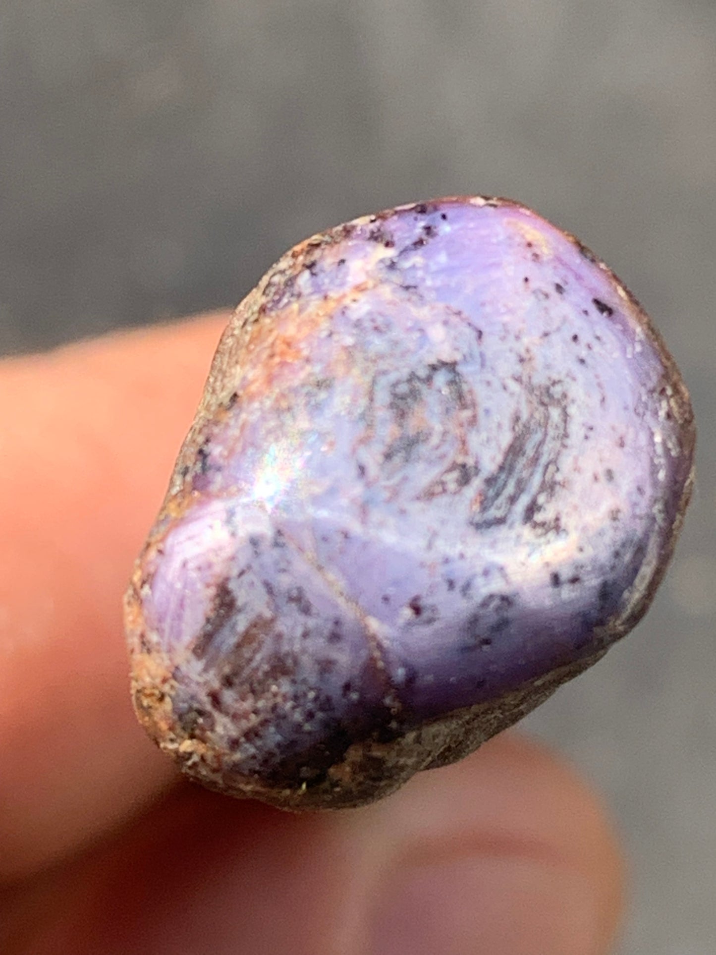 Rubis étoilé semi poli de 29mm x18 x14 - 12,1 grammes. Parfait en bijouterie, collection ,exposition...