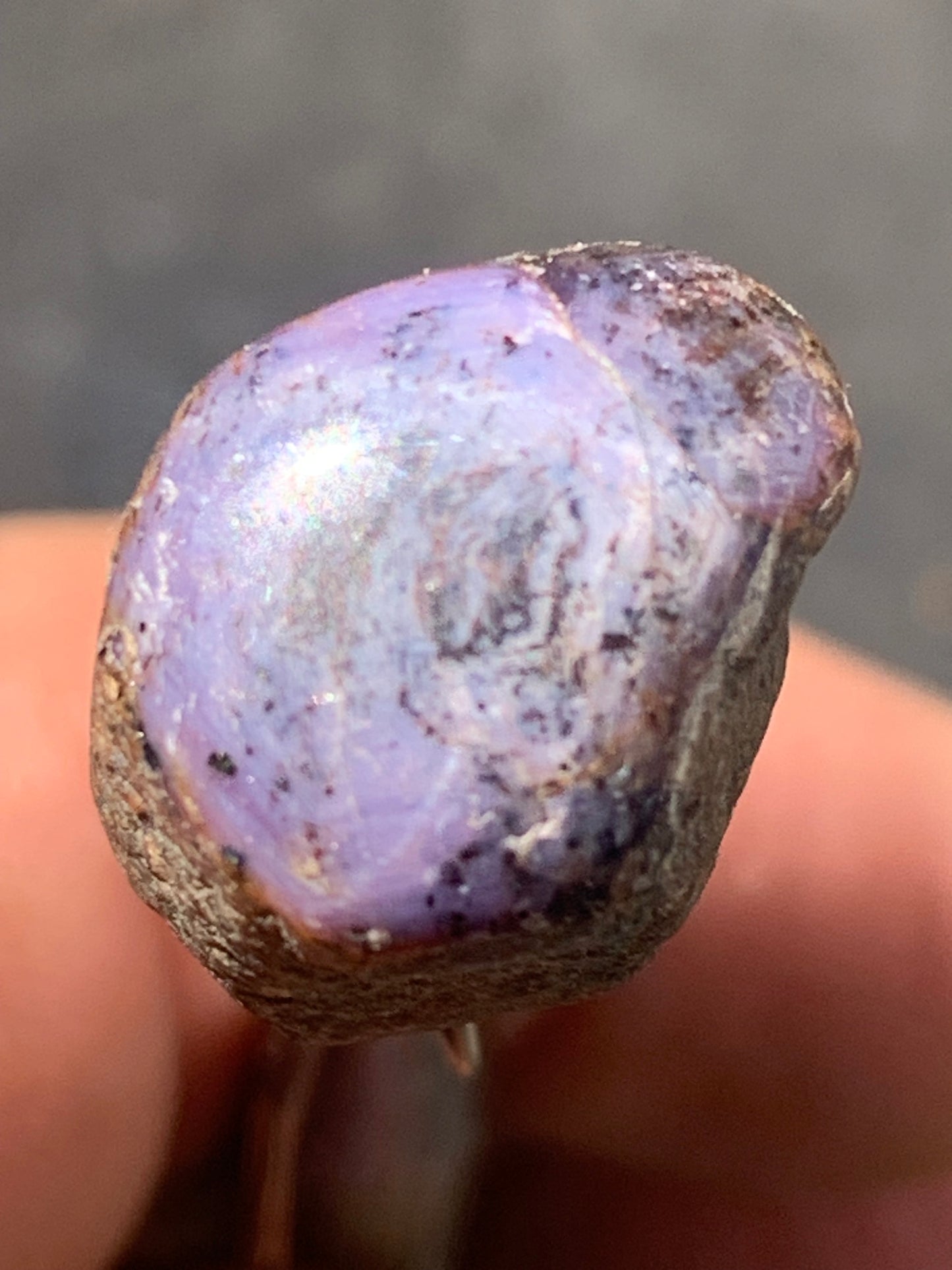 Rubis étoilé semi poli de 29mm x18 x14 - 12,1 grammes. Parfait en bijouterie, collection ,exposition...