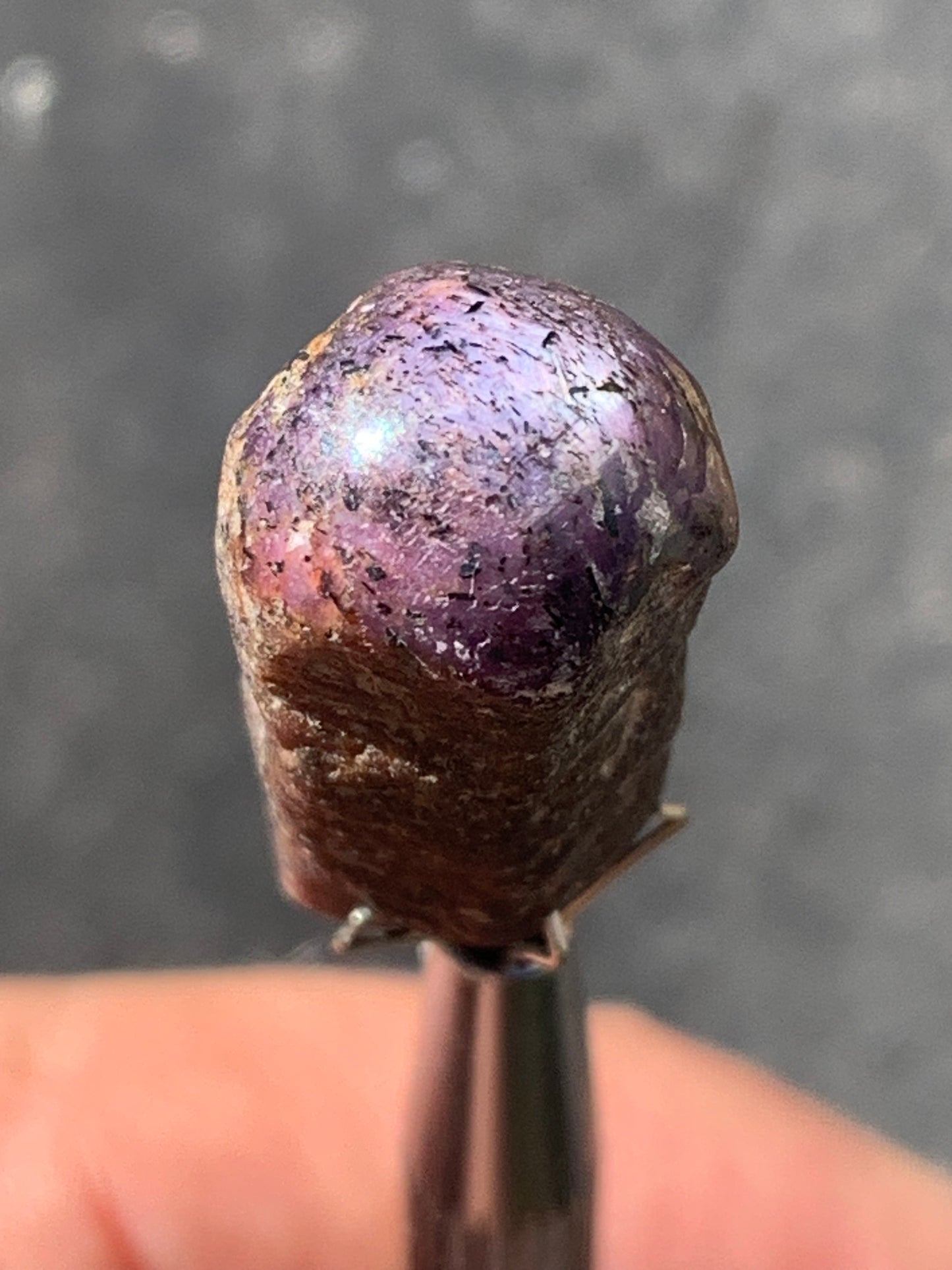 Rubis étoilé semi poli, de 29mm x12 x12 - 11 grammes. Parfait en bijouterie, collection ,exposition...