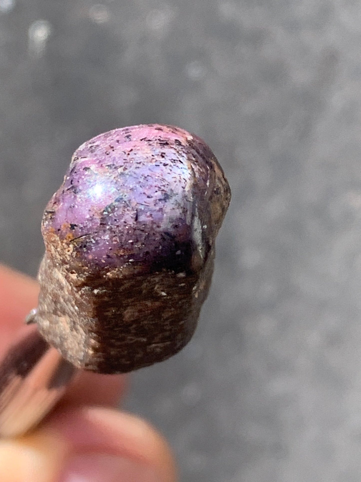 Rubis étoilé semi poli, de 29mm x12 x12 - 11 grammes. Parfait en bijouterie, collection ,exposition...