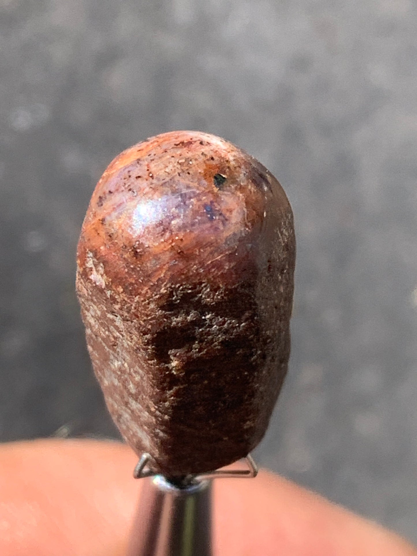 Rubis étoilé semi poli, de 25mm x14 x12 - 9,1 grammes. Parfait en bijouterie, collection ,exposition...