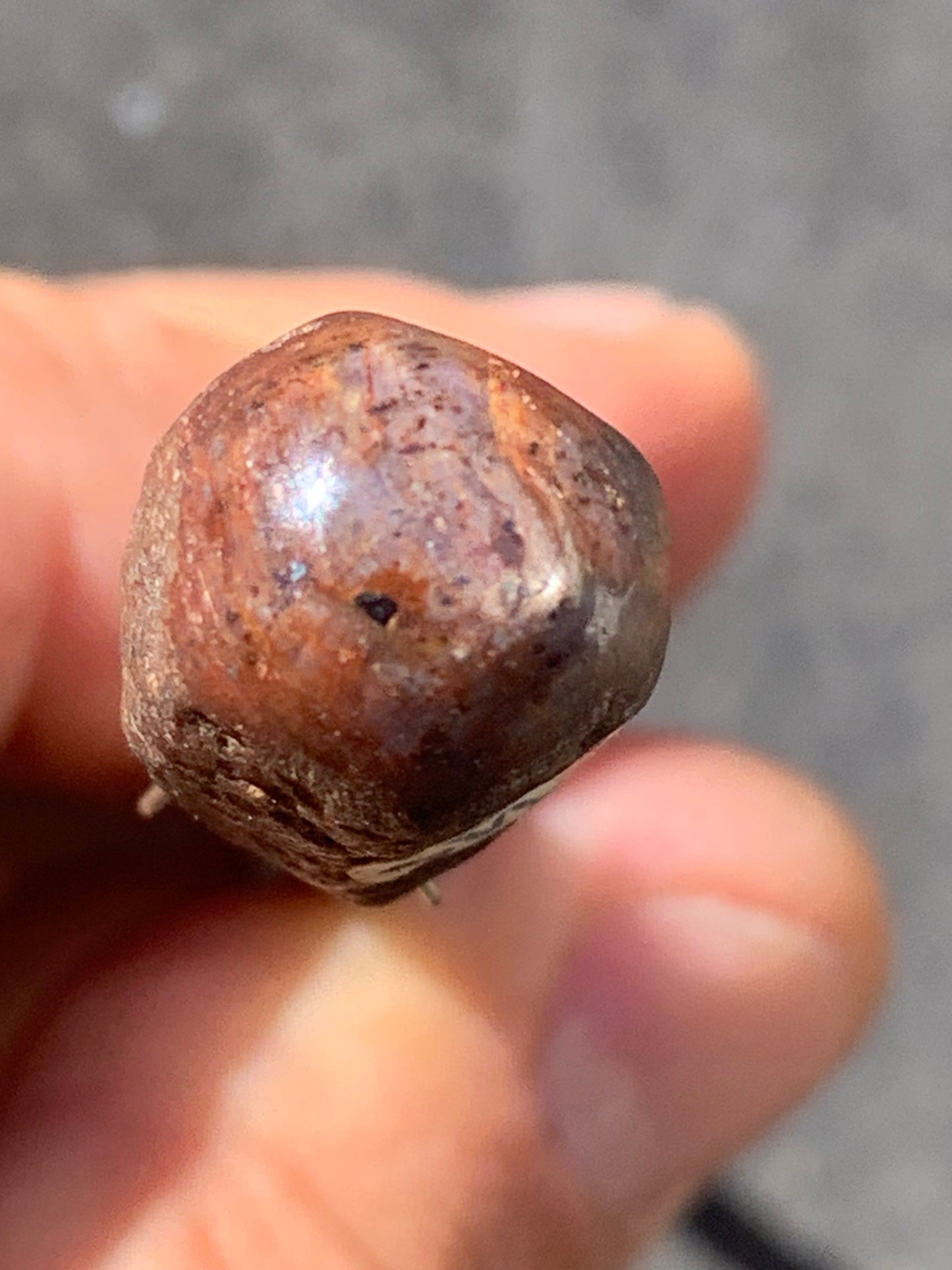 Rubis étoilé semi poli, de 25mm x14 x12 - 9,1 grammes. Parfait en bijouterie, collection ,exposition...