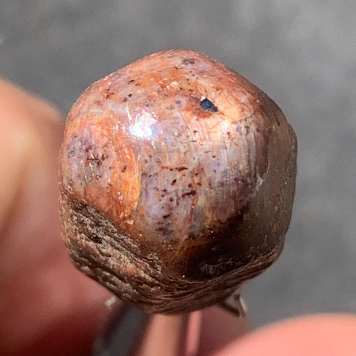 Rubis étoilé semi poli, de 25mm x14 x12 - 9,1 grammes. Parfait en bijouterie, collection ,exposition...