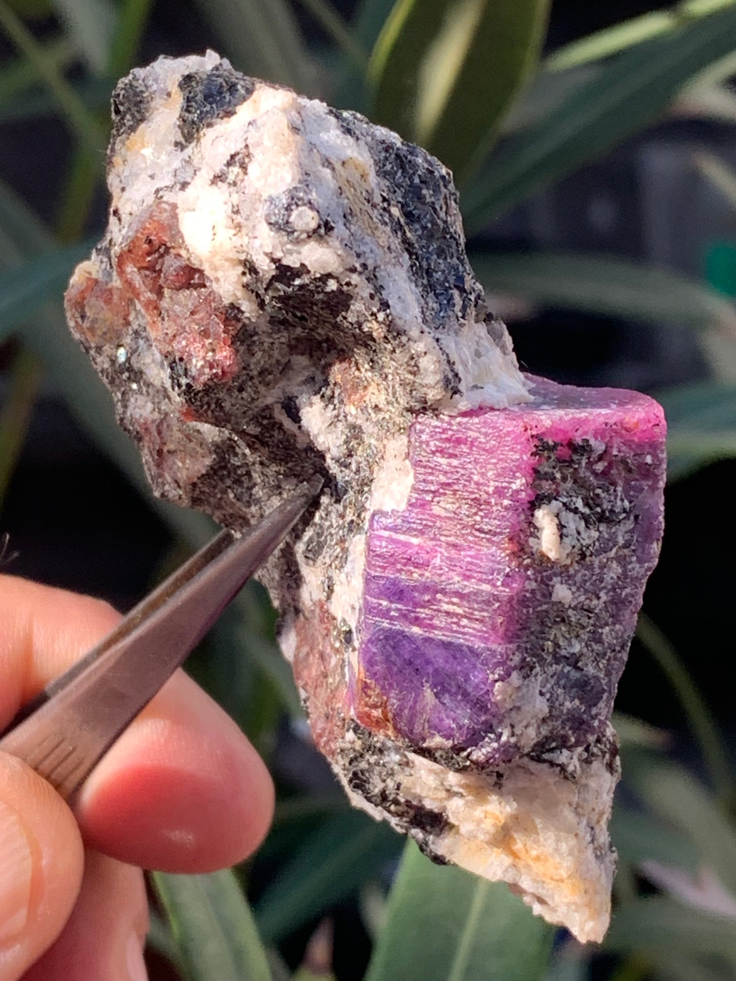 Rubis sur gangue de Zoisite, 74mm x43 x 23 - 76 grammes. Parfait en collection, exposition, lapidage...
